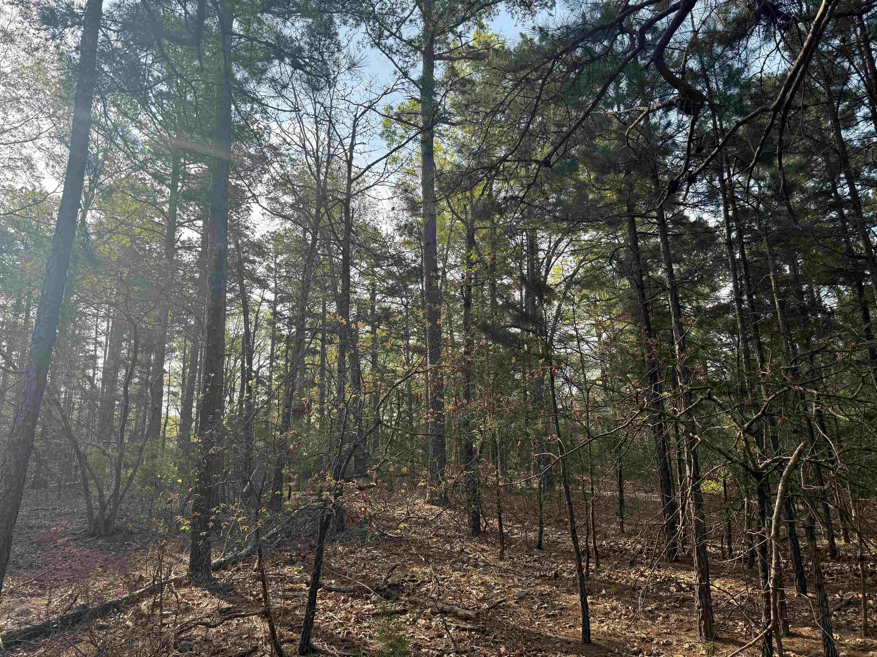 Photo 7 - Vacant Land for sale – 1314  Shoemaker Road   Violet Hill, AR