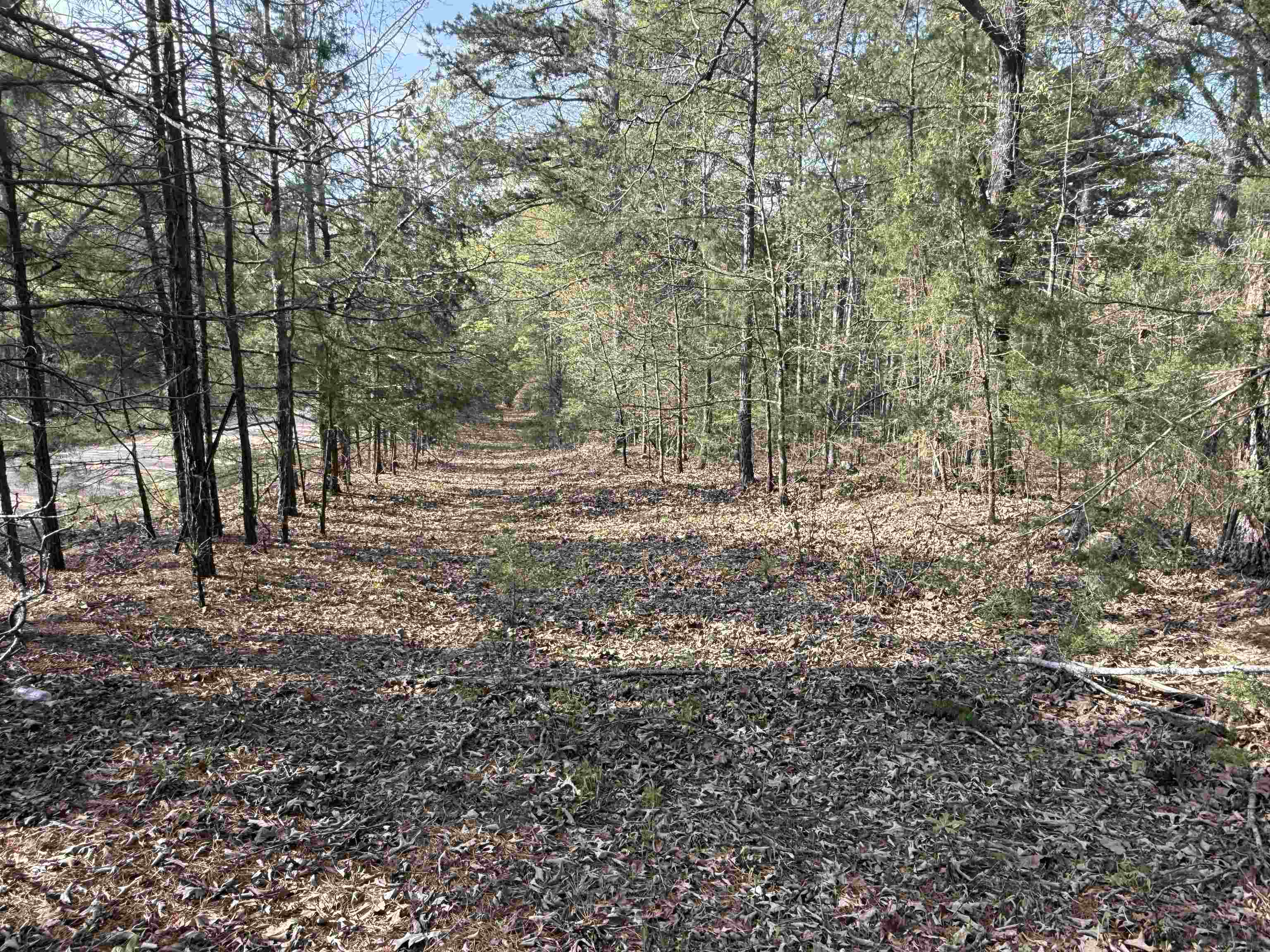 Photo 8 - Vacant Land for sale – 1314  Shoemaker Road   Violet Hill, AR