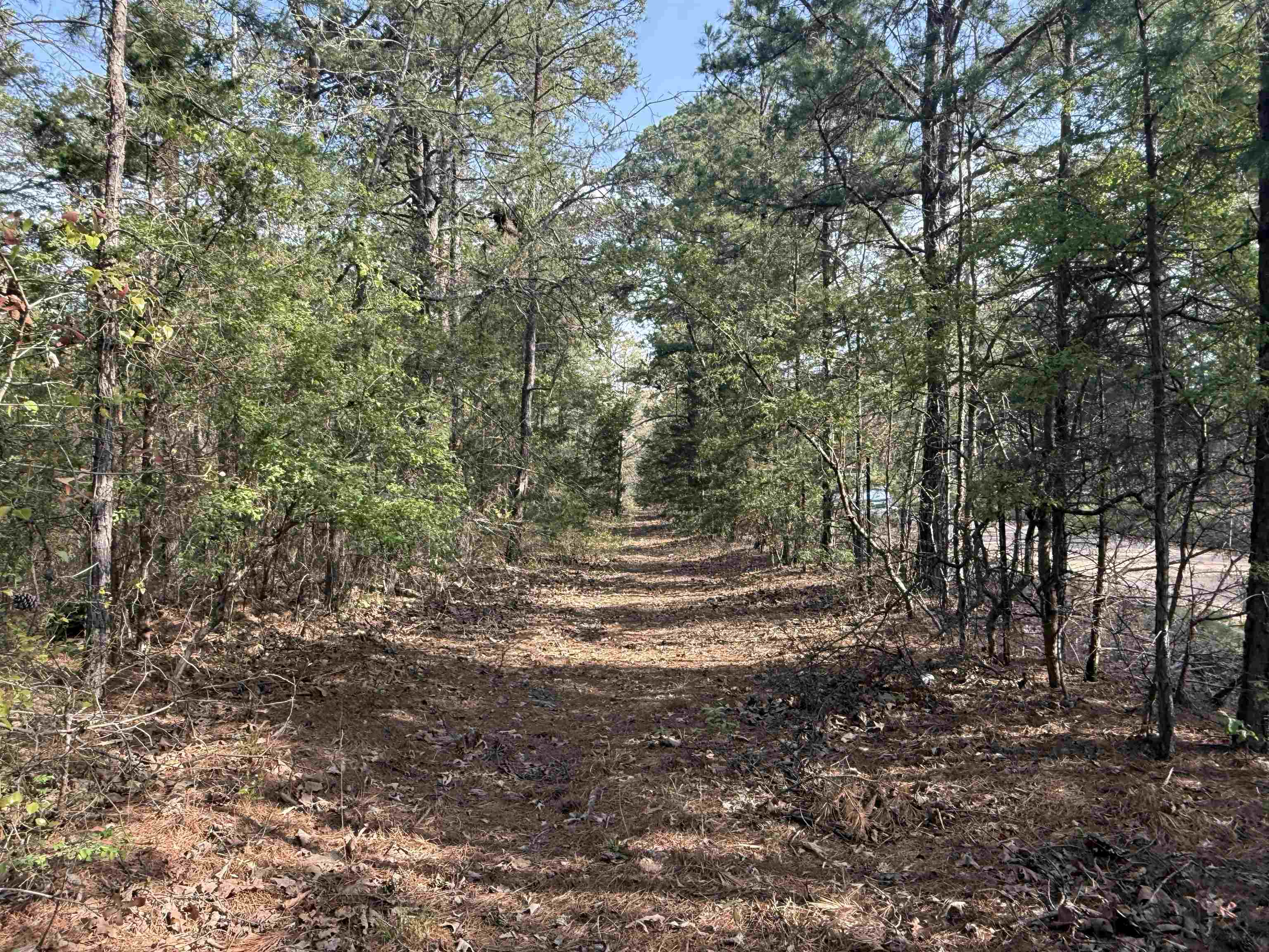 Photo 9 - Vacant Land for sale – 1314  Shoemaker Road   Violet Hill, AR