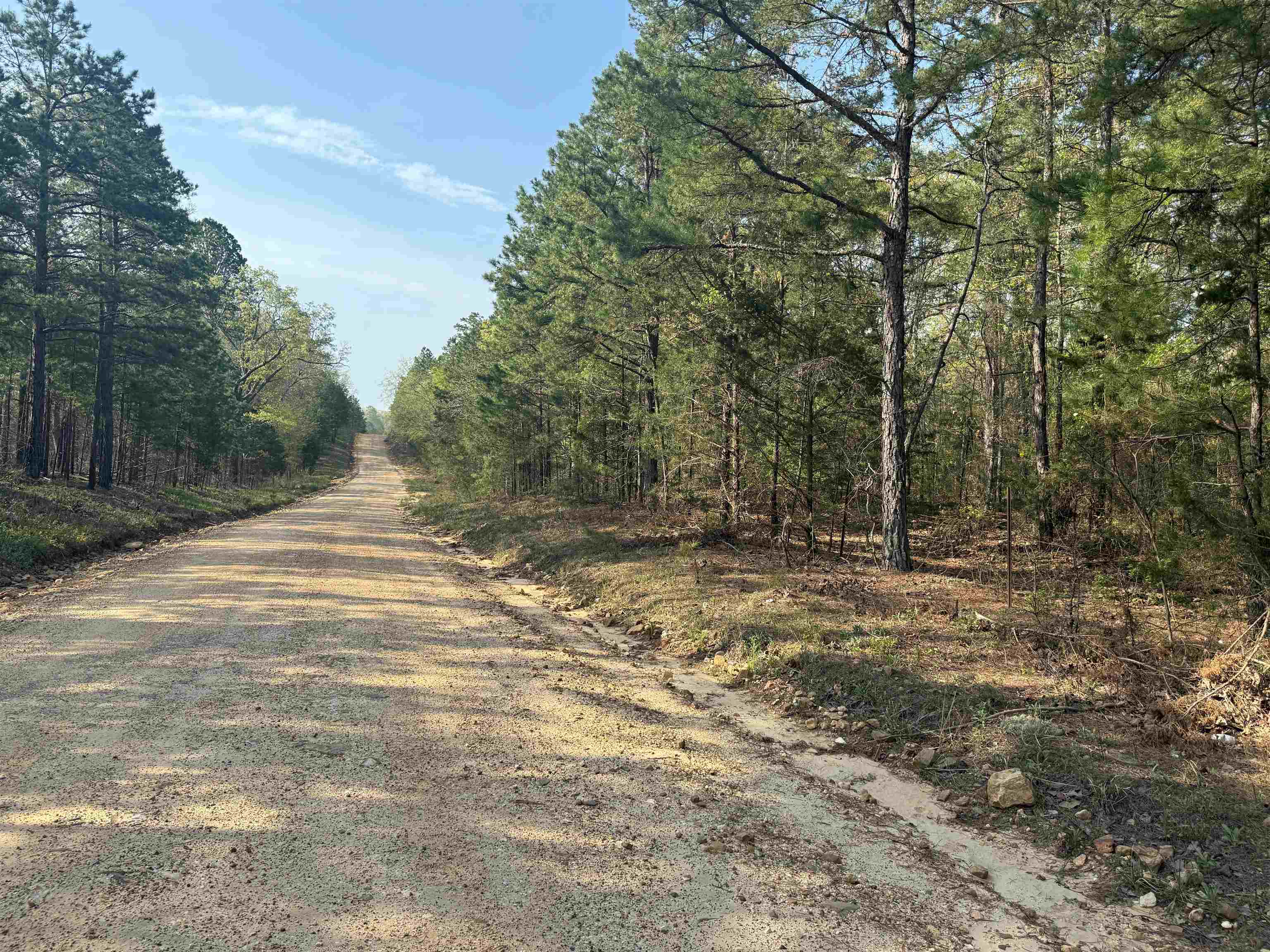 Photo 10 - Vacant Land for sale – 1314  Shoemaker Road   Violet Hill, AR