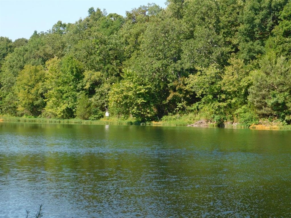 Photo 3 - Vacant Land for sale – 000  Yamasee rd Omaha   Cherokee Village, AR
