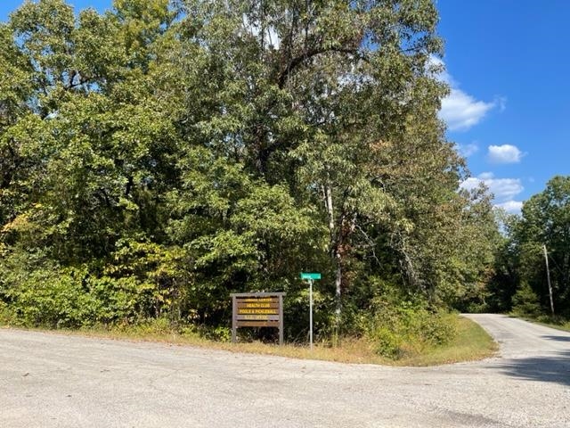 Photo 4 - Vacant Land for sale – 000  Yamasee rd Omaha   Cherokee Village, AR