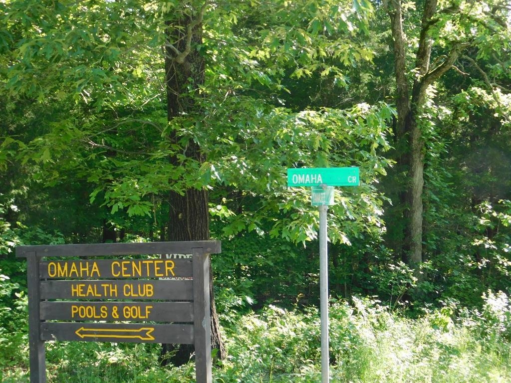 Photo 5 - Vacant Land for sale – 000  Yamasee rd Omaha   Cherokee Village, AR