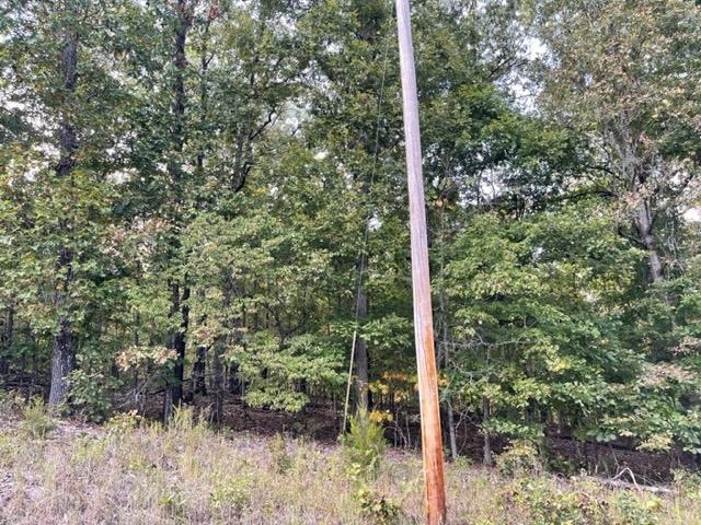 Photo 6 - Vacant Land for sale – 000  Yamasee rd Omaha   Cherokee Village, AR