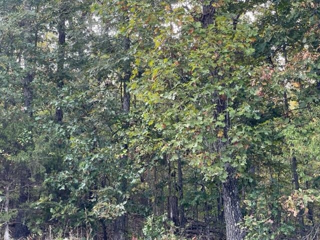 Photo 7 - Vacant Land for sale – 000  Yamasee rd Omaha   Cherokee Village, AR