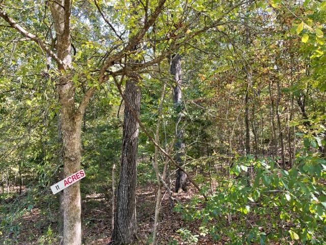 Photo 8 - Vacant Land for sale – 000  Yamasee rd Omaha   Cherokee Village, AR