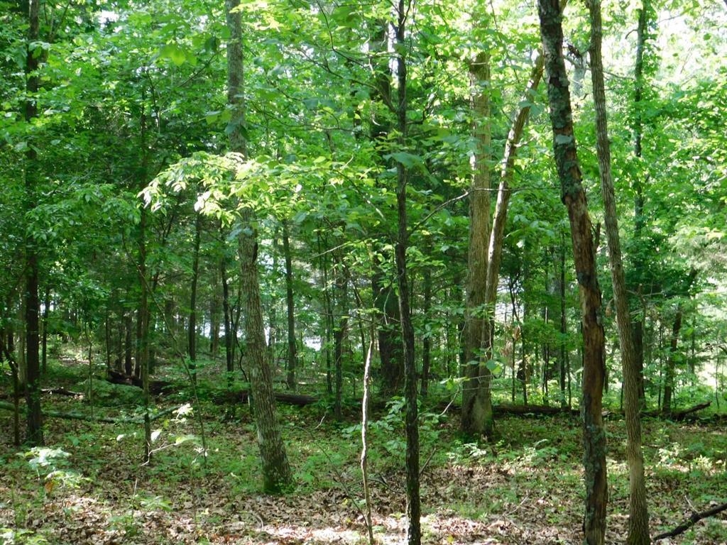 Photo 9 - Vacant Land for sale – 000  Yamasee rd Omaha   Cherokee Village, AR