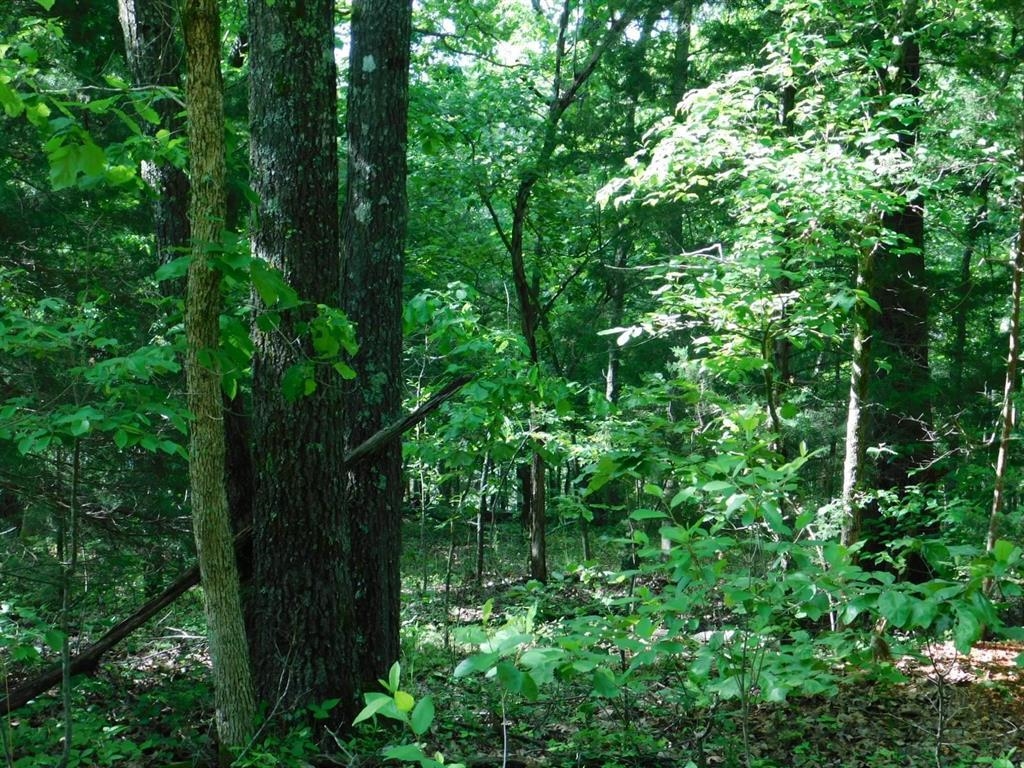 Photo 10 - Vacant Land for sale – 000  Yamasee rd Omaha   Cherokee Village, AR