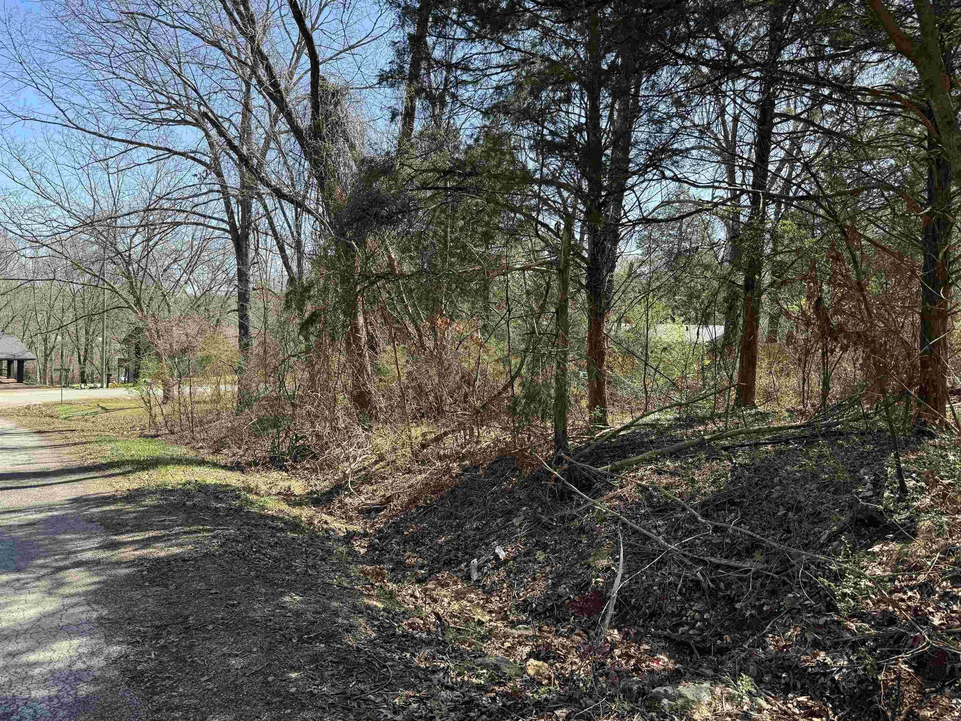 Photo 2 - Vacant Land for sale – 00  Nokomis Dr   Cherokee Village, AR