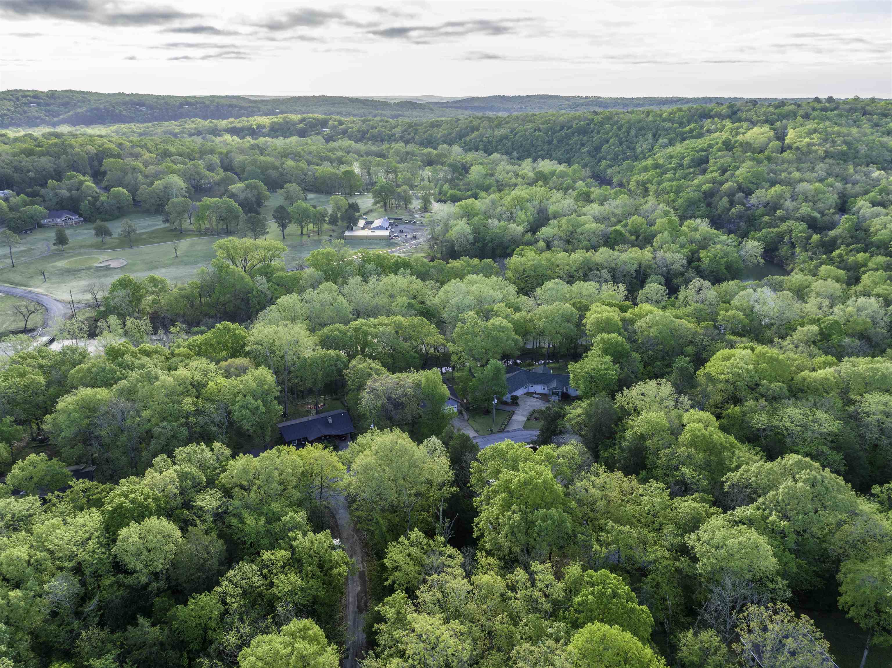 Photo 7 - Vacant Land for sale – 00  Nokomis Dr   Cherokee Village, AR