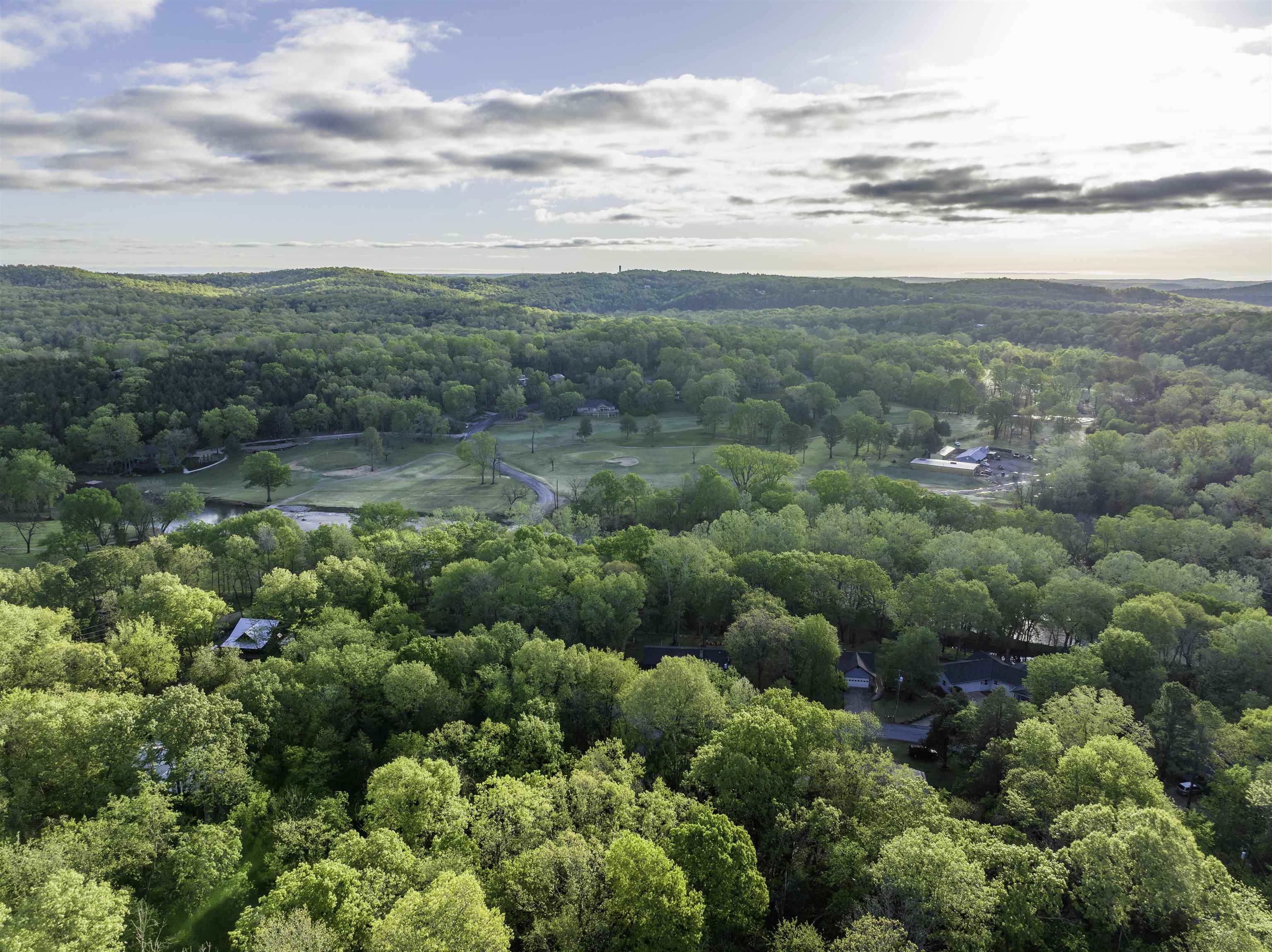 Photo 8 - Vacant Land for sale – 00  Nokomis Dr   Cherokee Village, AR