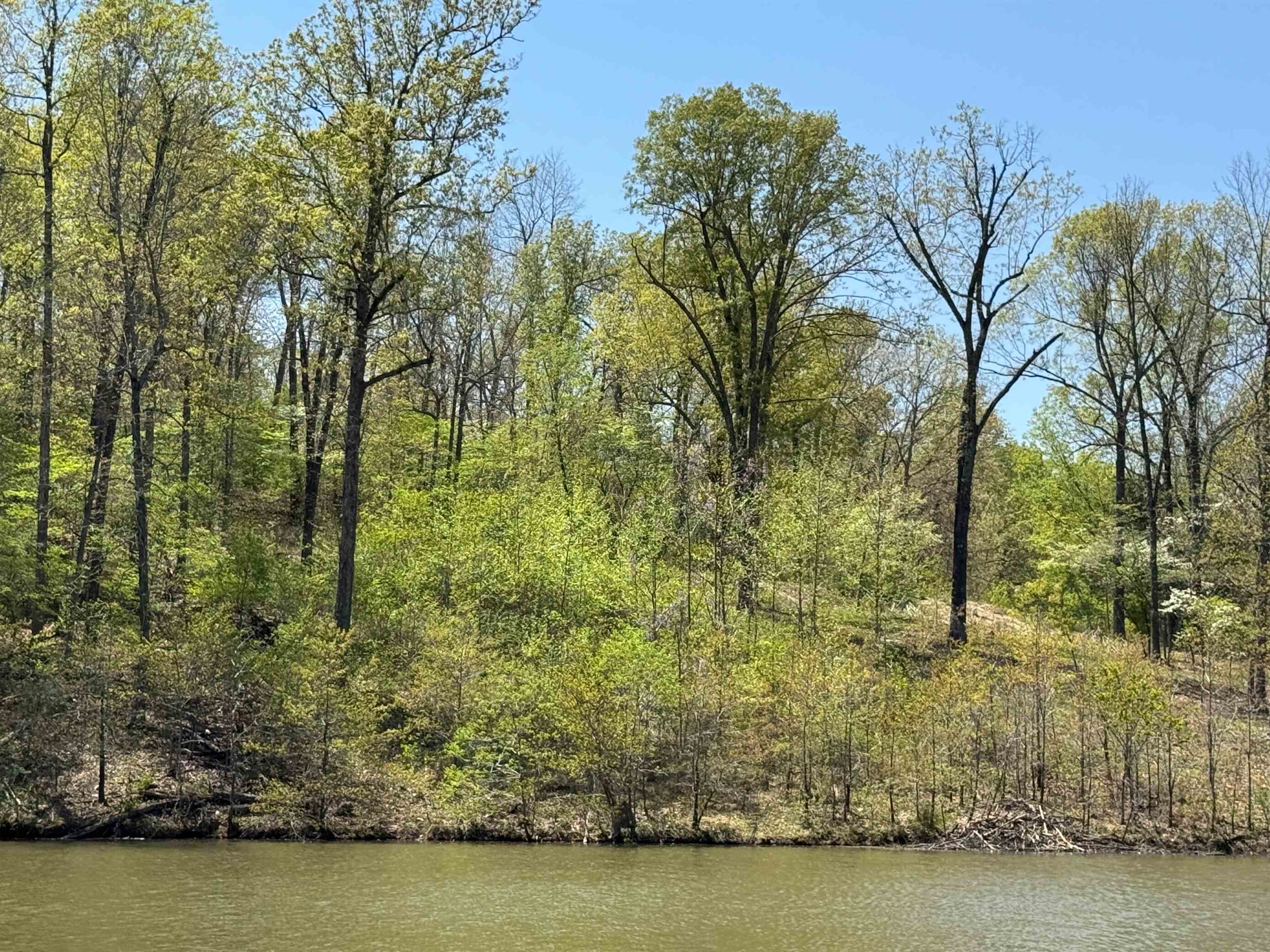 Photo 2 - Vacant Land for sale – Lot 14  Hualapi Dr   Cherokee Village, AR