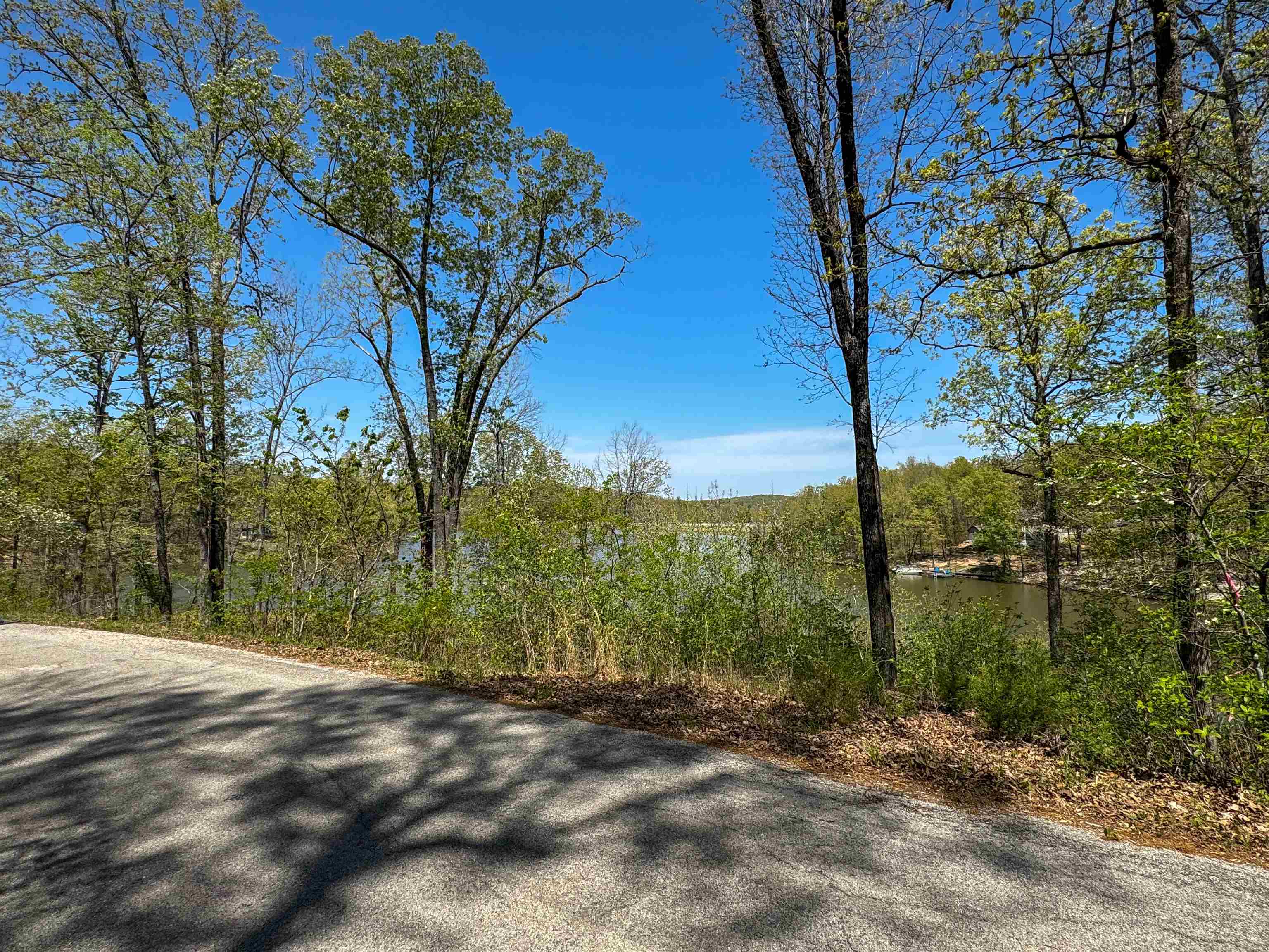 Photo 3 - Vacant Land for sale – Lot 14  Hualapi Dr   Cherokee Village, AR