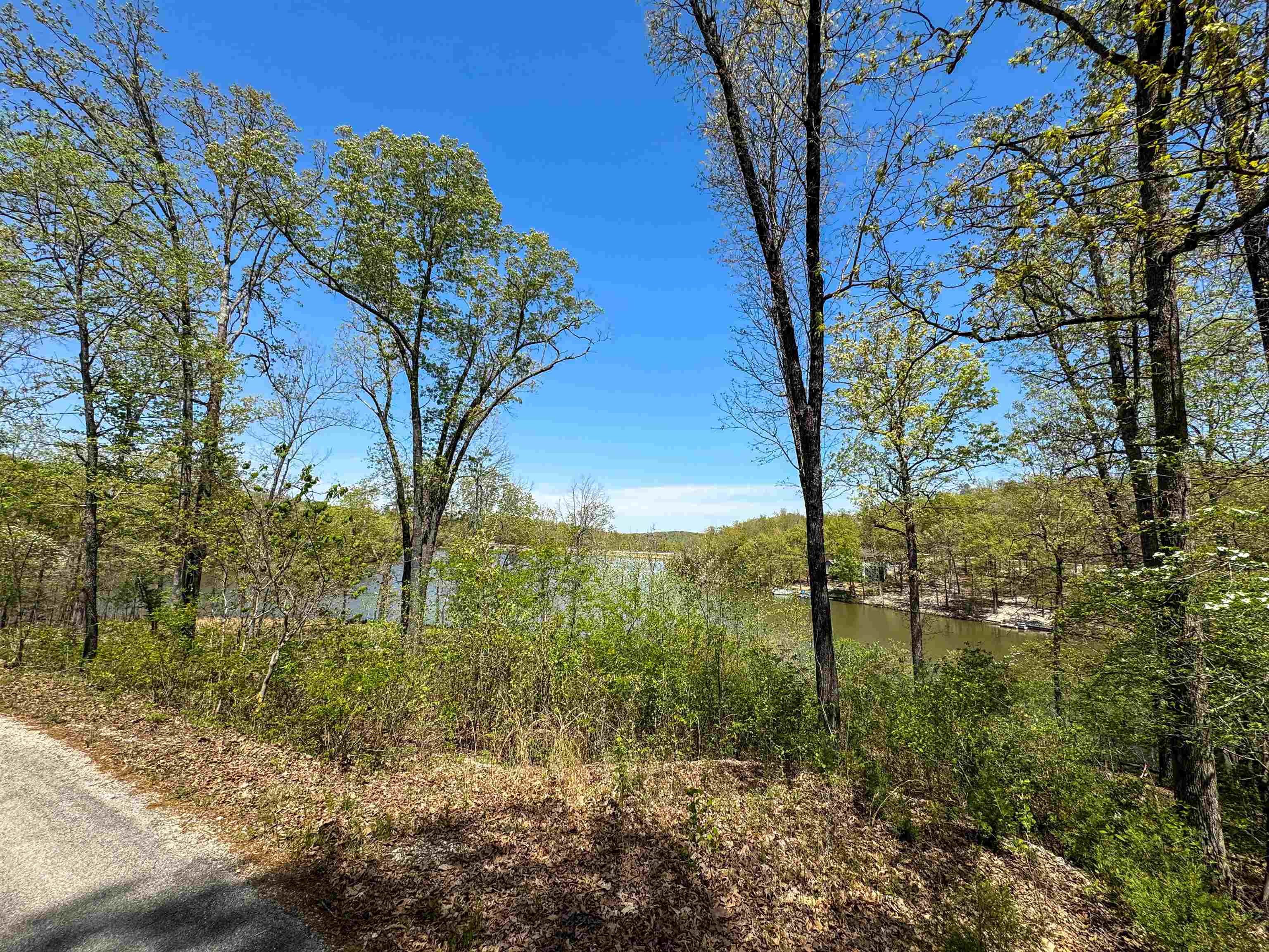 Photo 4 - Vacant Land for sale – Lot 14  Hualapi Dr   Cherokee Village, AR