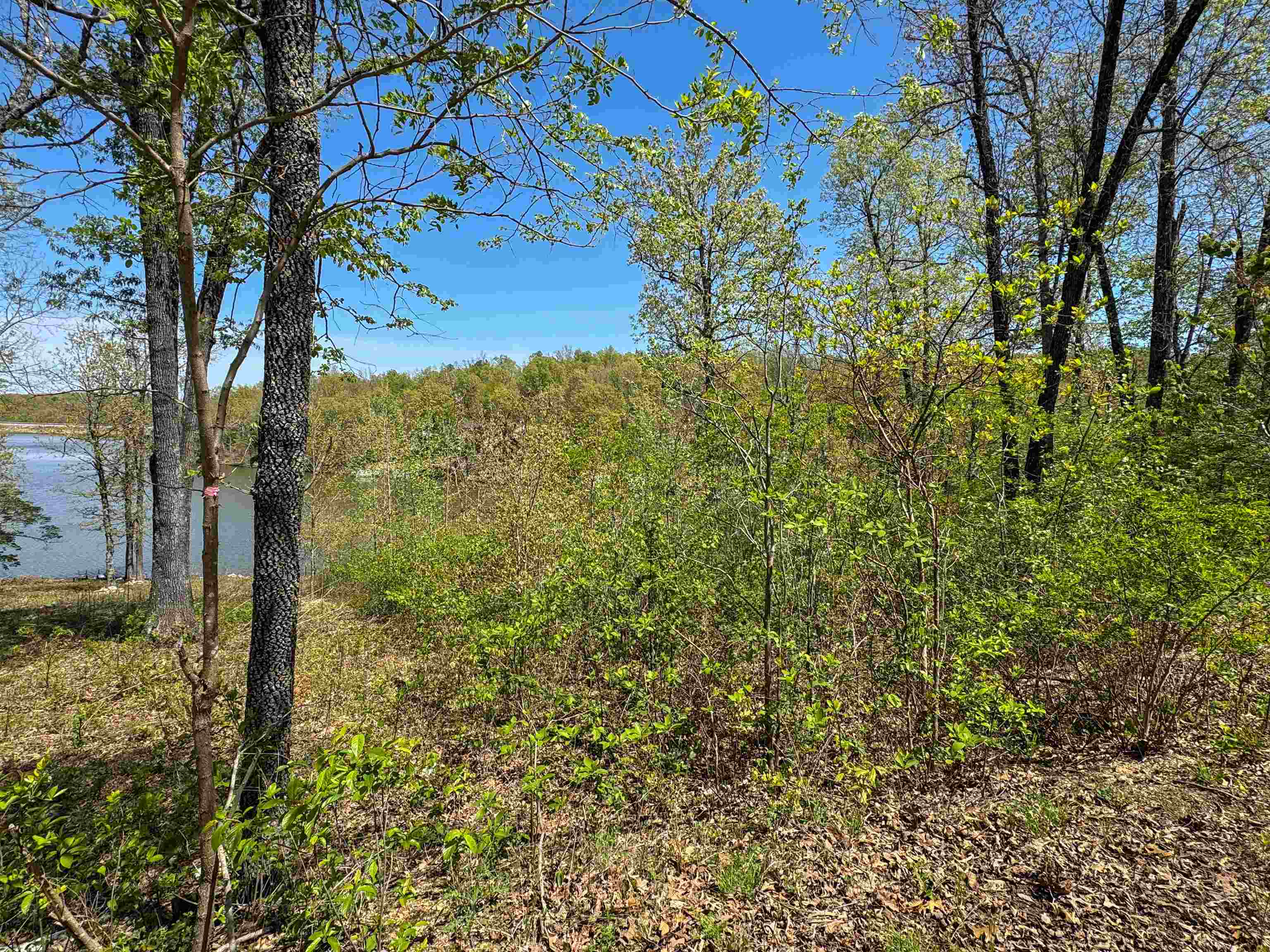 Photo 5 - Vacant Land for sale – Lot 14  Hualapi Dr   Cherokee Village, AR