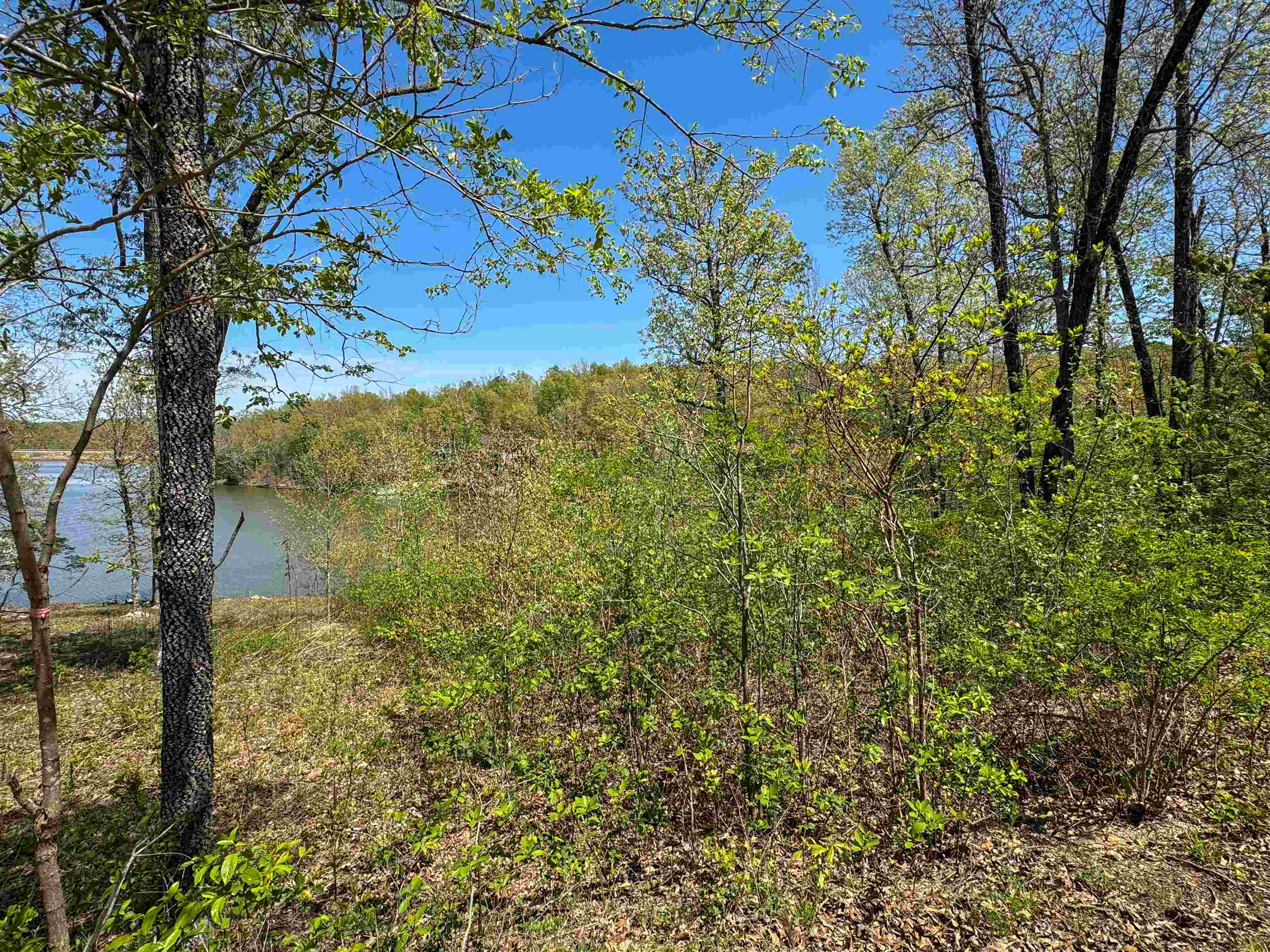 Photo 6 - Vacant Land for sale – Lot 14  Hualapi Dr   Cherokee Village, AR