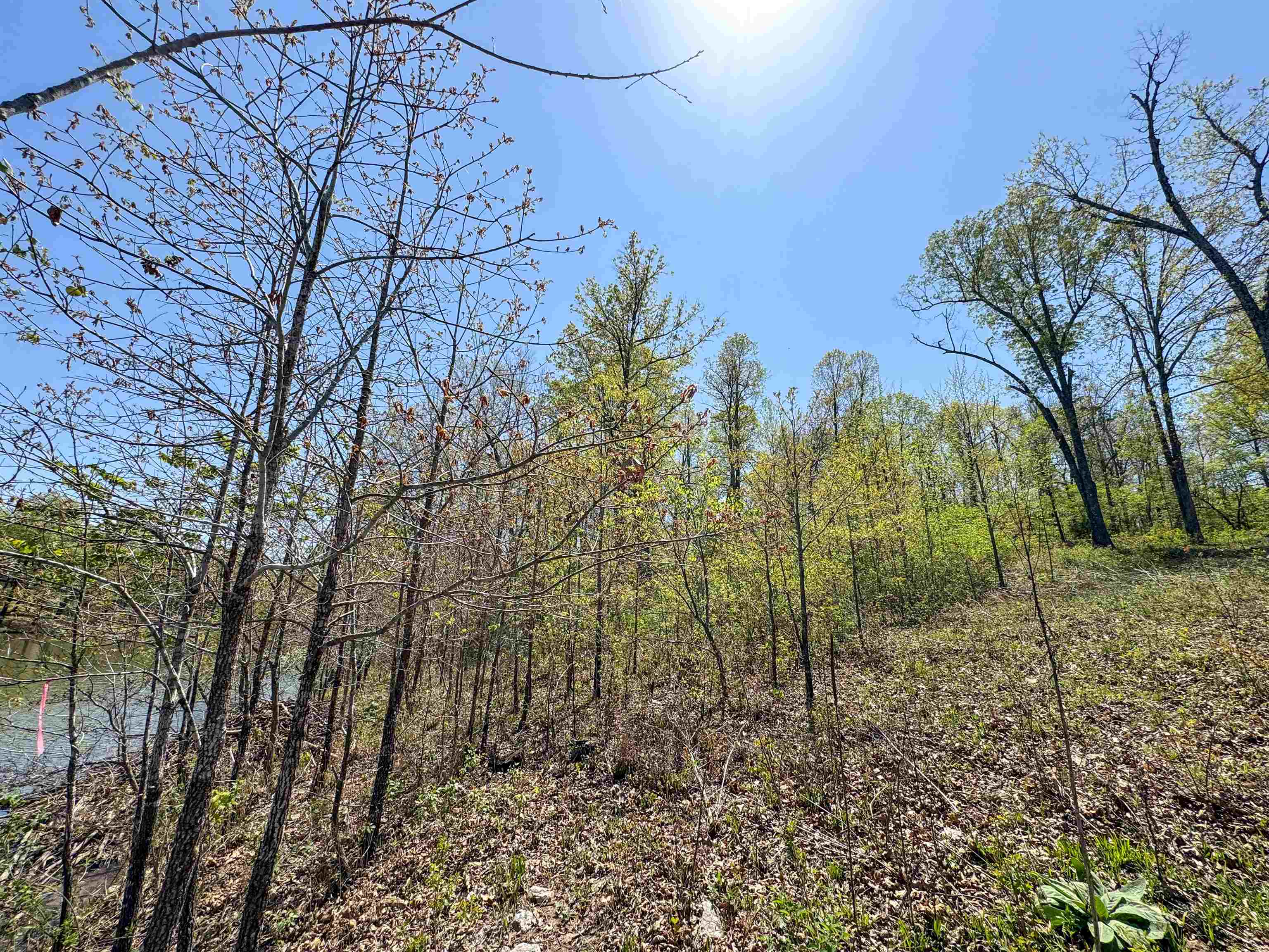 Photo 7 - Vacant Land for sale – Lot 14  Hualapi Dr   Cherokee Village, AR