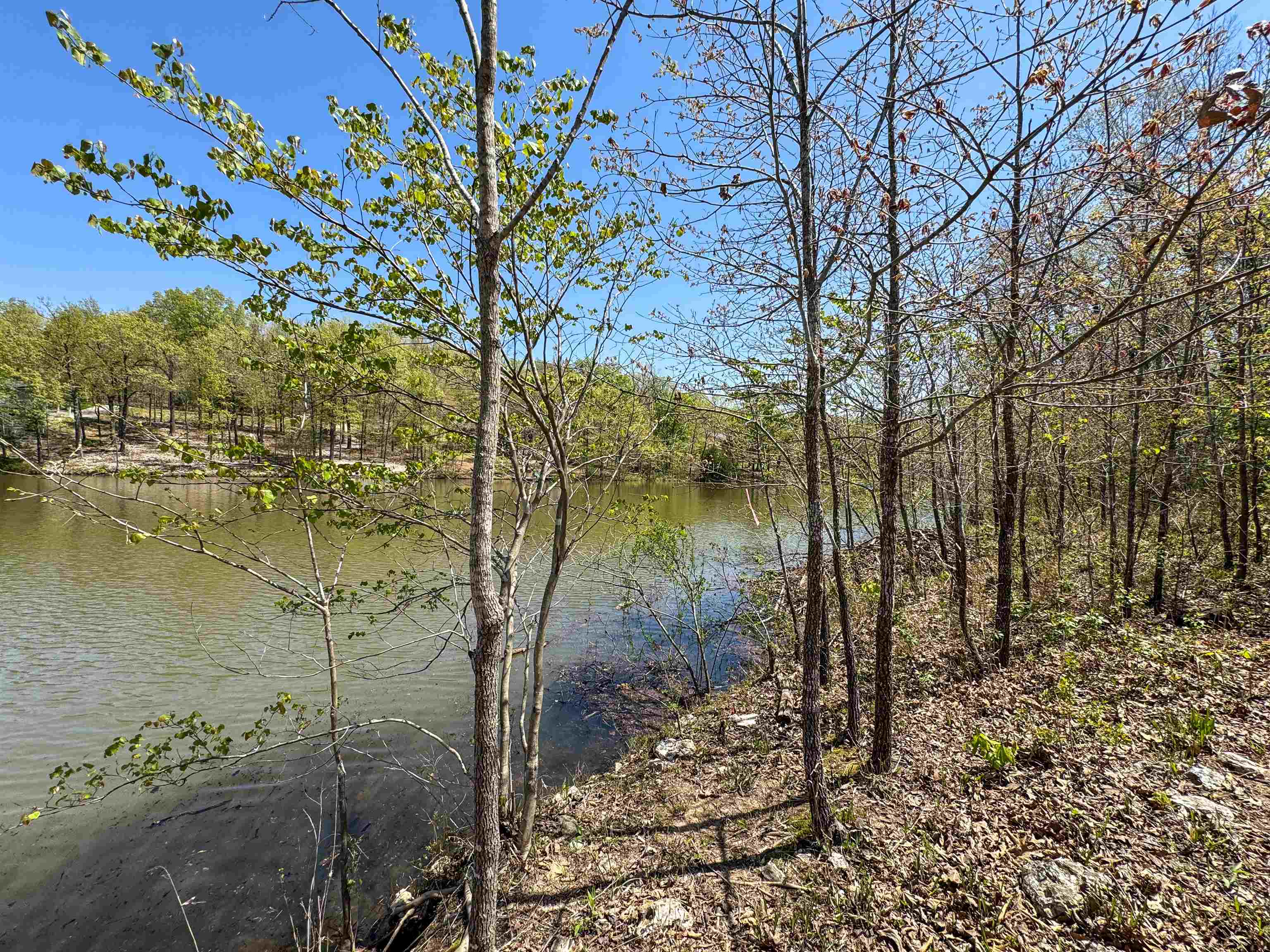 Photo 8 - Vacant Land for sale – Lot 14  Hualapi Dr   Cherokee Village, AR