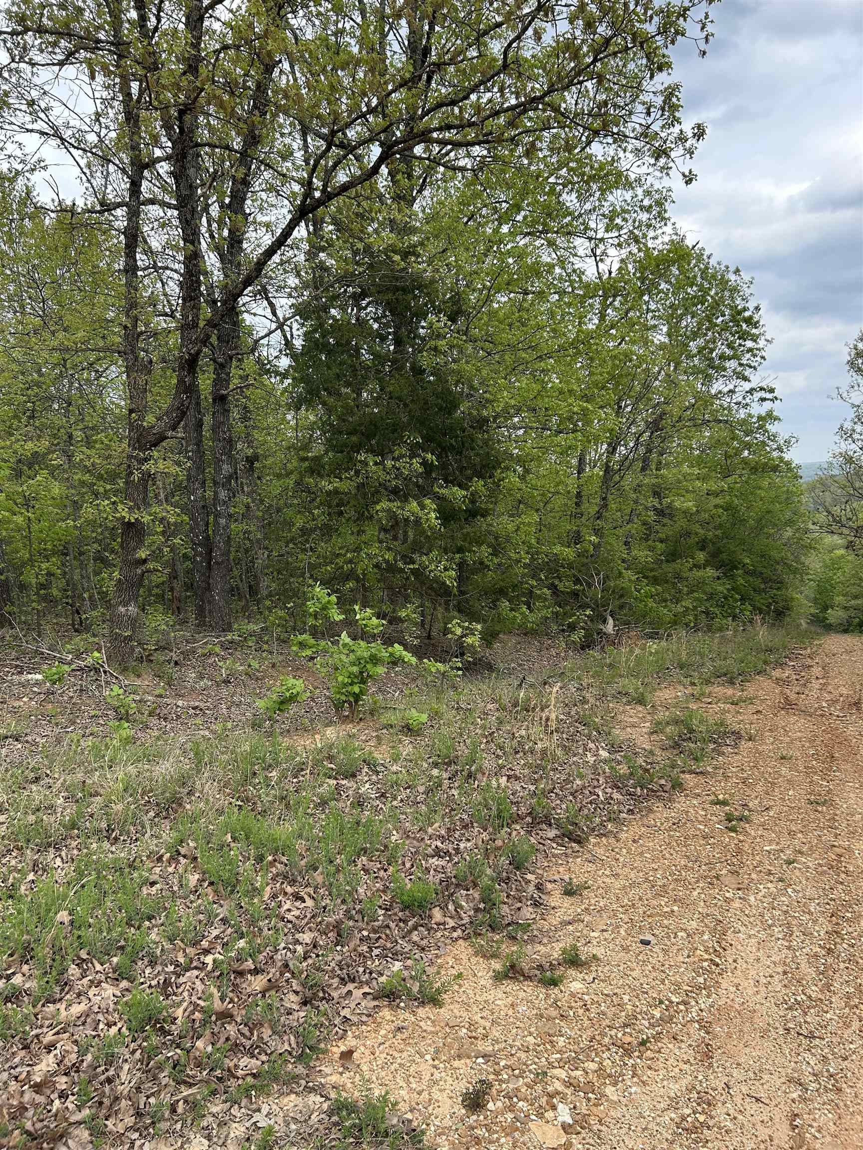 Photo 11 - Residential for sale – TBD  Slick Rock Rd   Hardy, AR