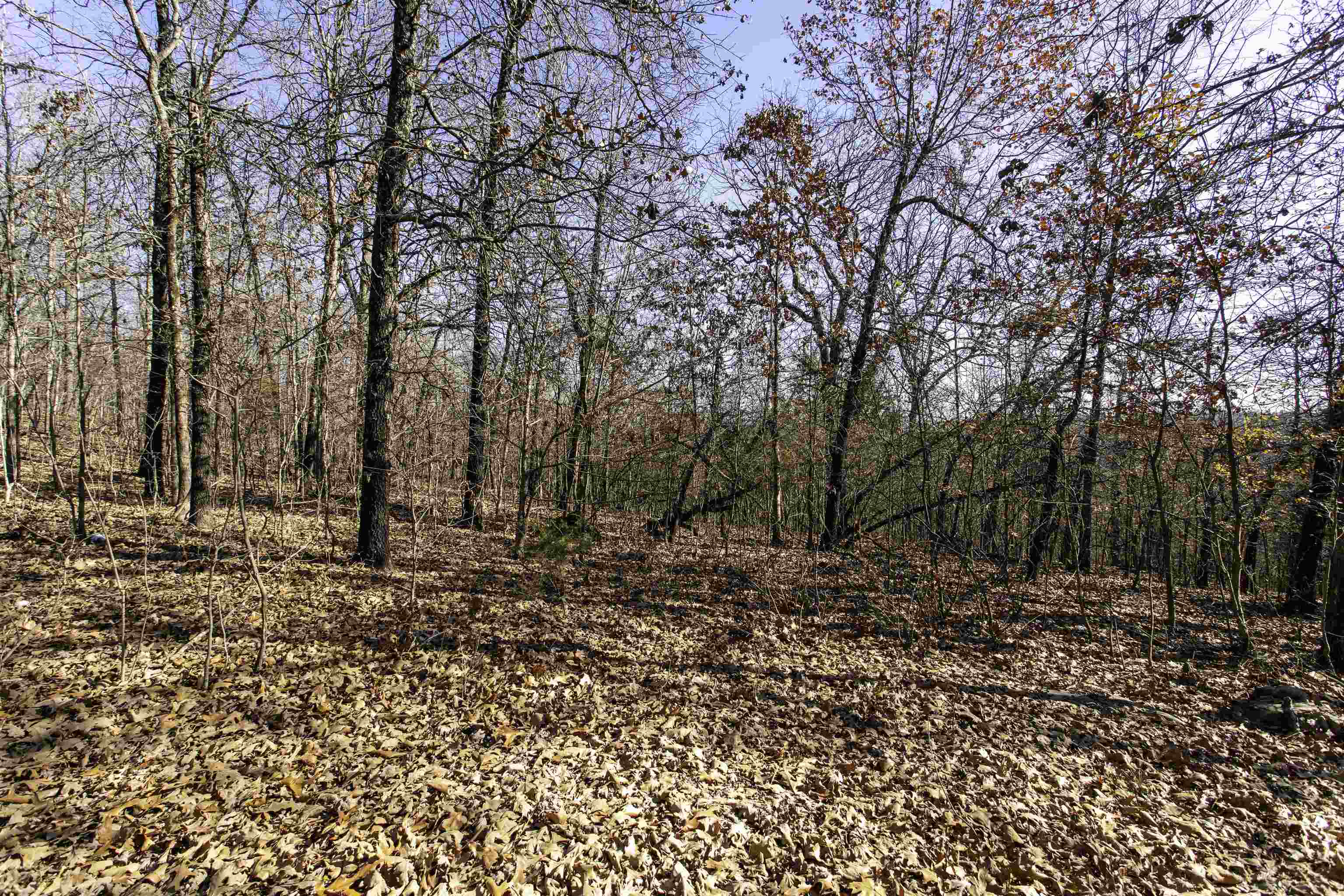 Photo 15 - Residential for sale – TBD  Slick Rock Rd   Hardy, AR