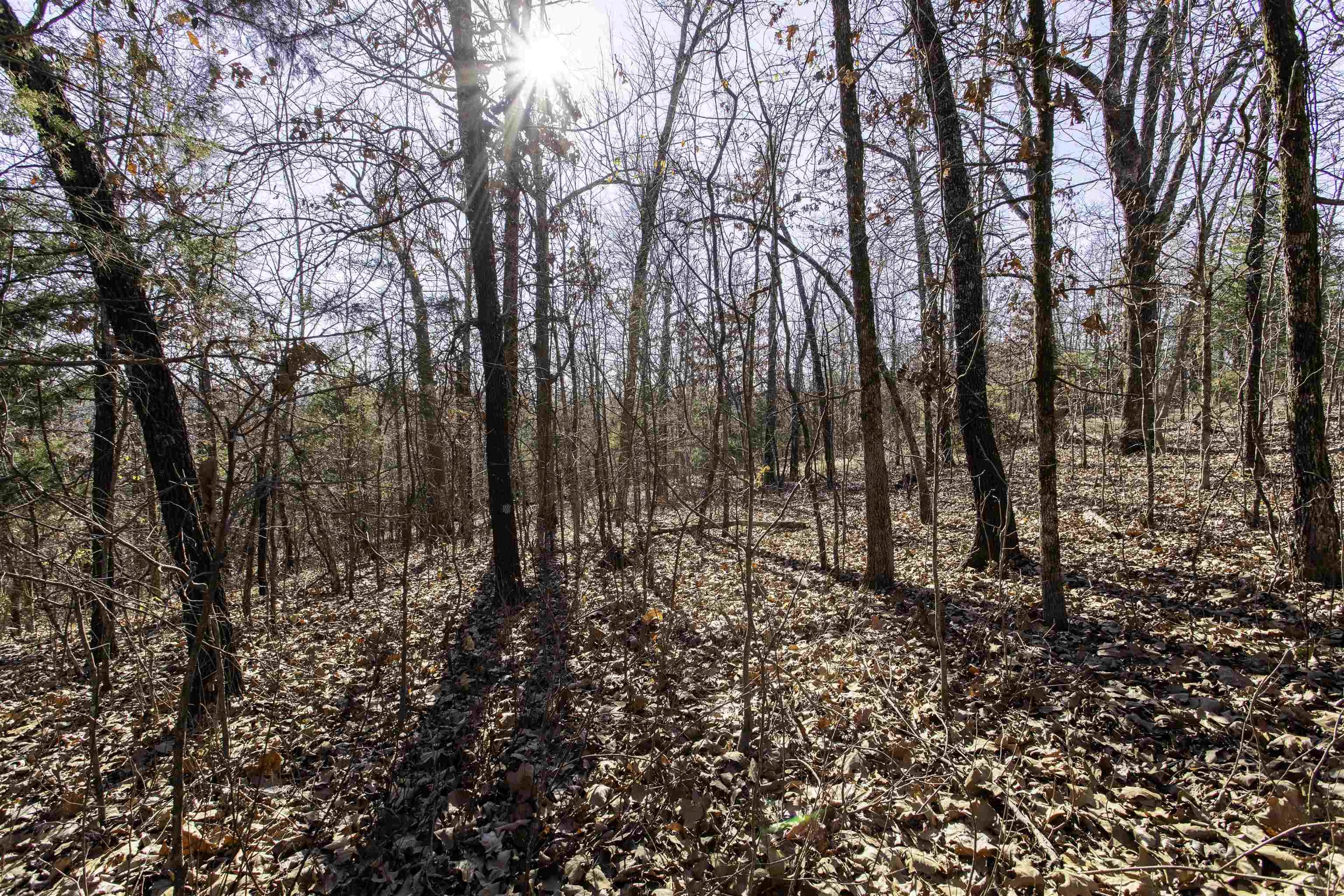 Photo 17 - Residential for sale – TBD  Slick Rock Rd   Hardy, AR