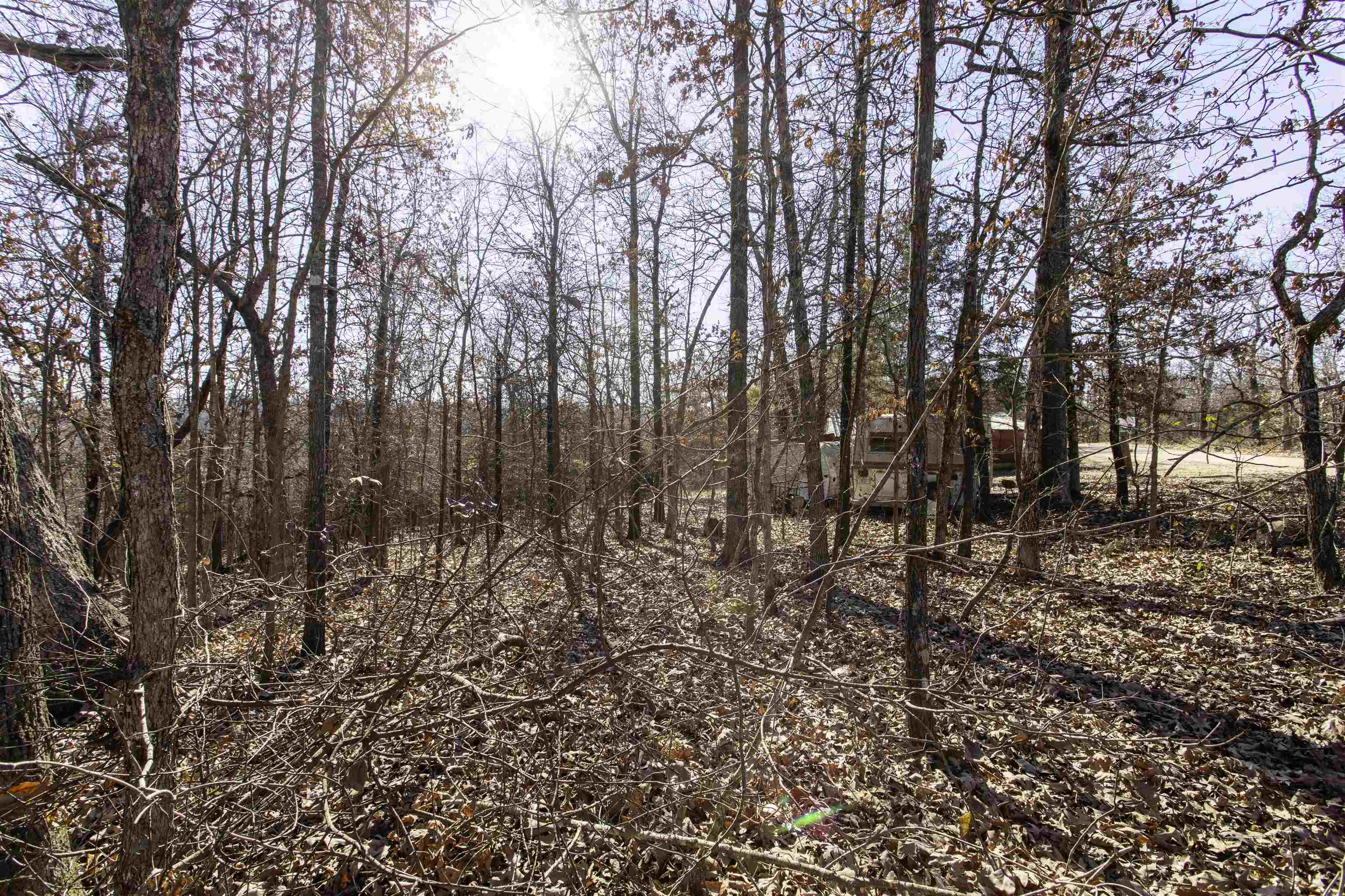 Photo 20 - Residential for sale – TBD  Slick Rock Rd   Hardy, AR