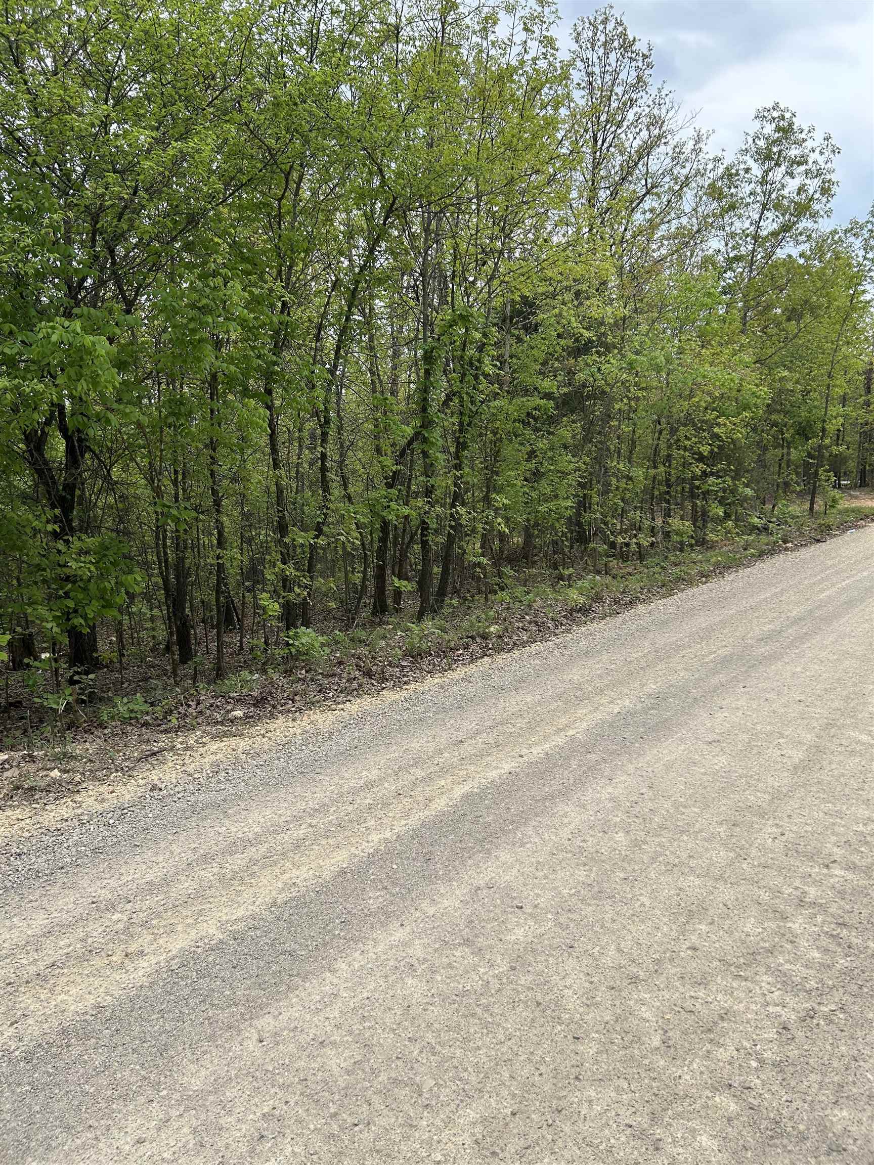 Photo 7 - Residential for sale – TBD  Slick Rock Rd   Hardy, AR