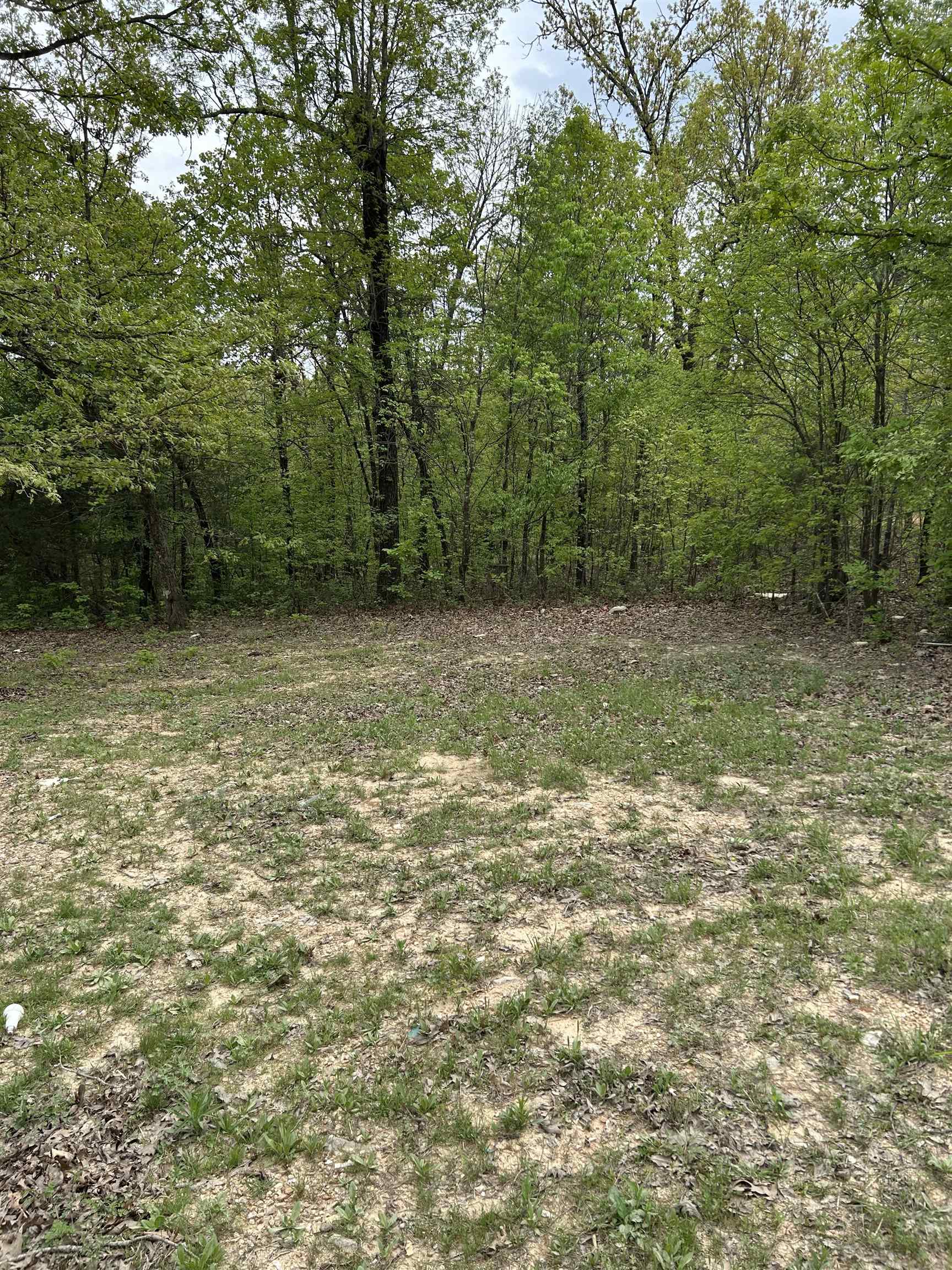 Photo 9 - Residential for sale – TBD  Slick Rock Rd   Hardy, AR