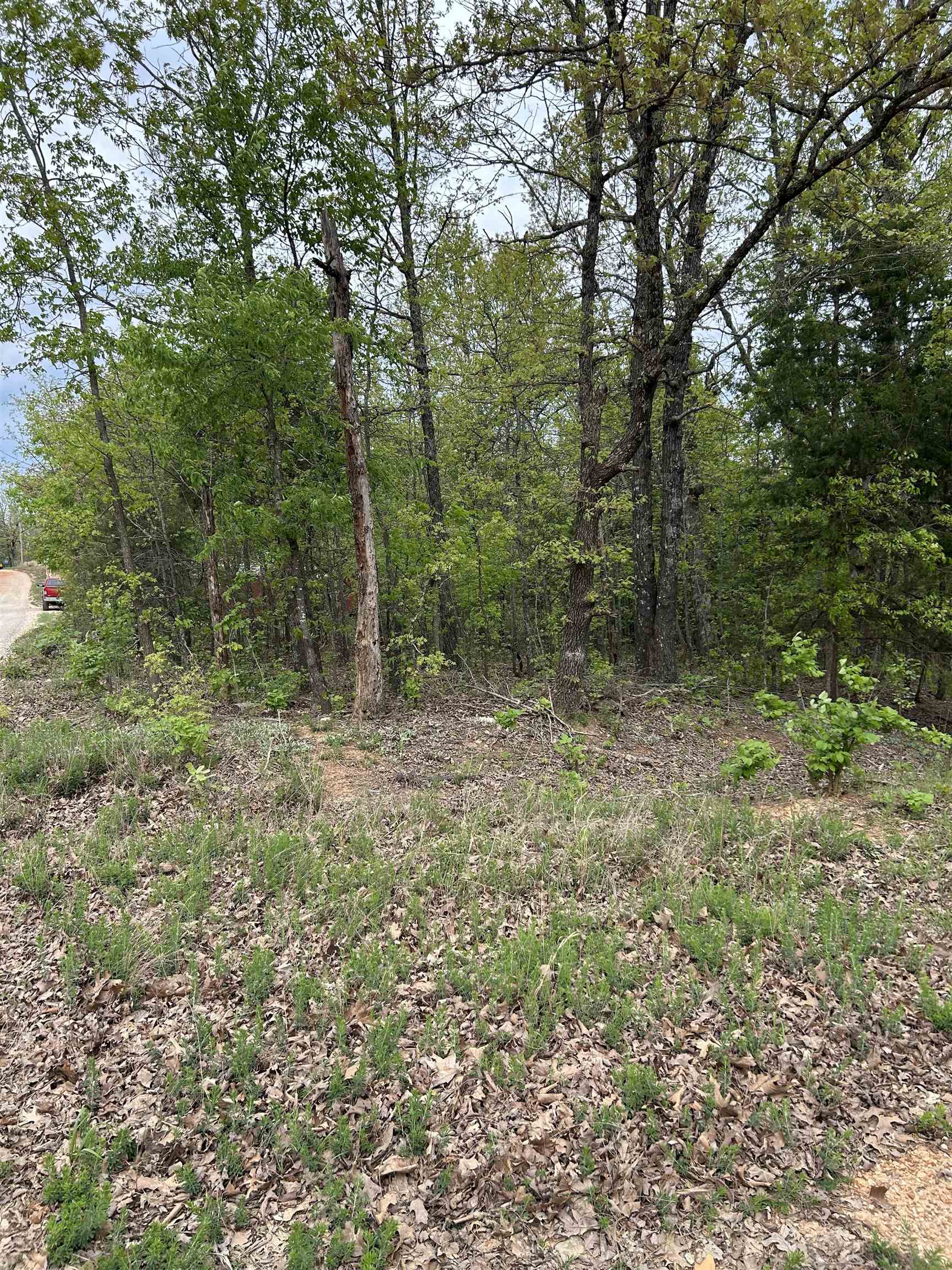 Photo 10 - Residential for sale – TBD  Slick Rock Rd   Hardy, AR
