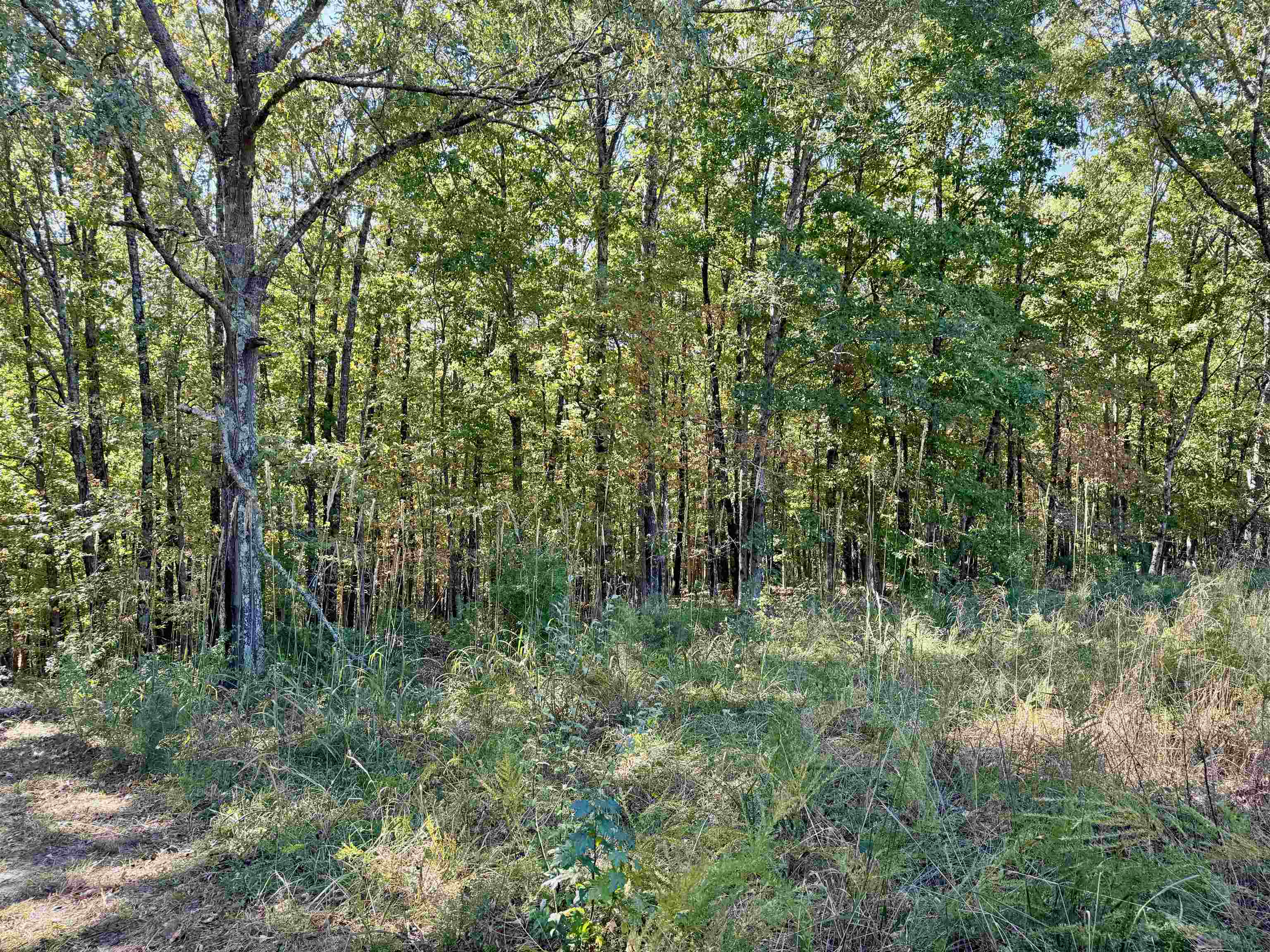 Photo 28 - Residential for sale – 1660  Knob Creek Road   Melbourne, AR