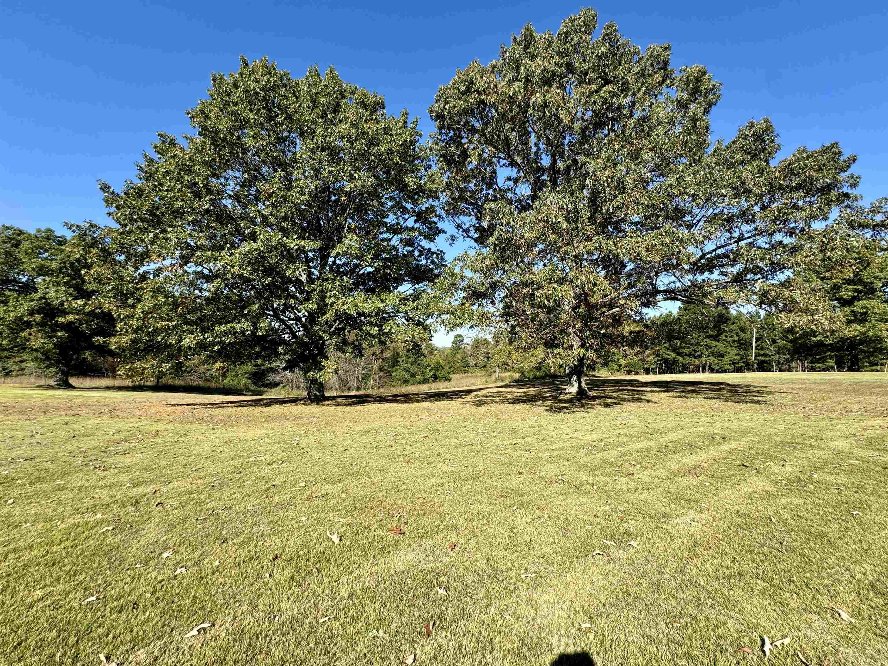 Photo 31 - Residential for sale – 1660  Knob Creek Road   Melbourne, AR