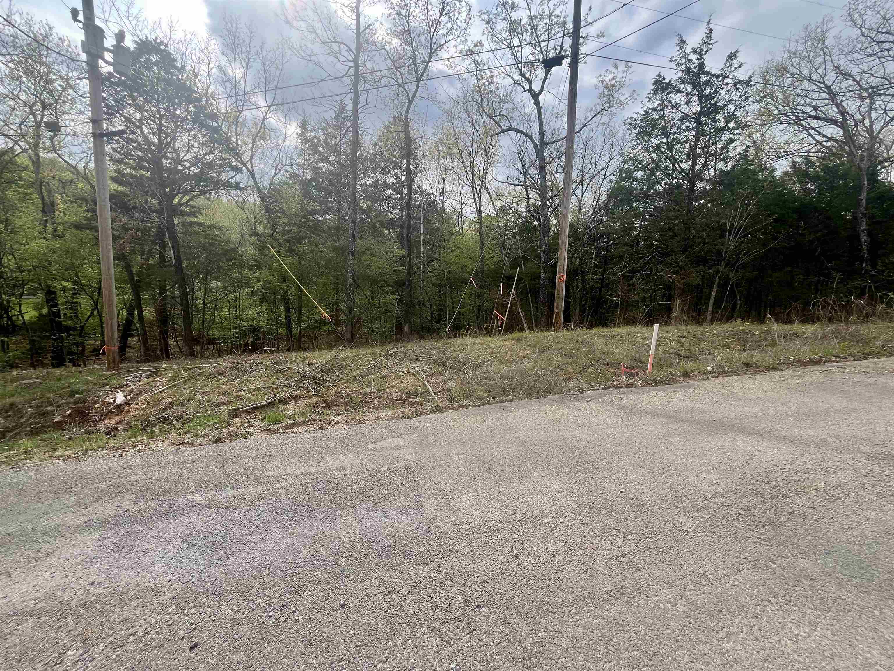 Photo 2 - Vacant Land for sale – TBD  Rainbow   Hardy, AR