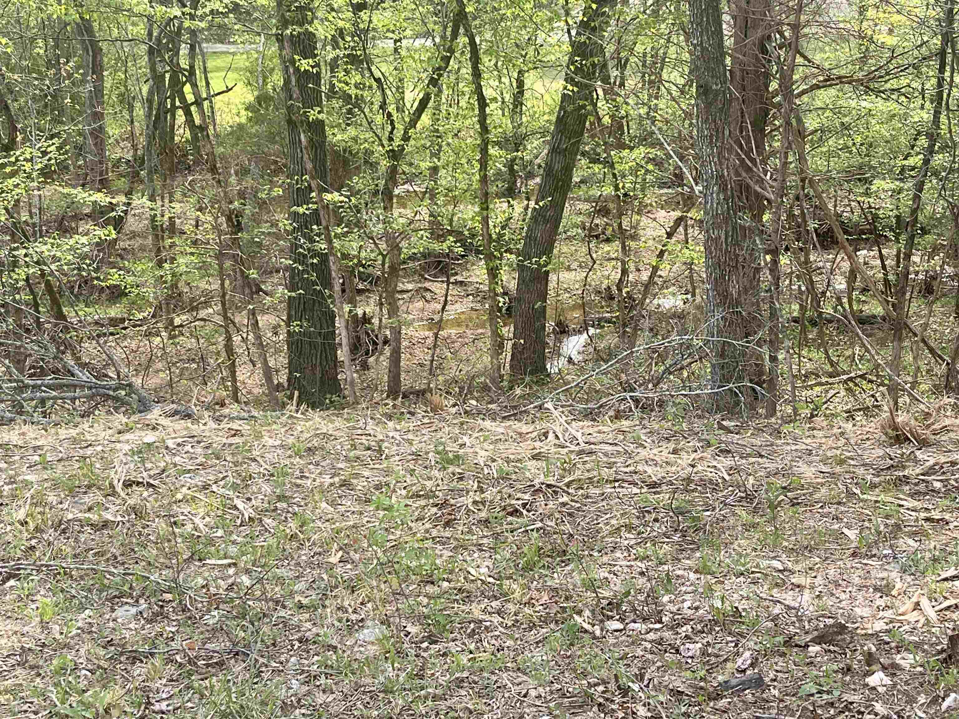 Photo 3 - Vacant Land for sale – TBD  Rainbow   Hardy, AR