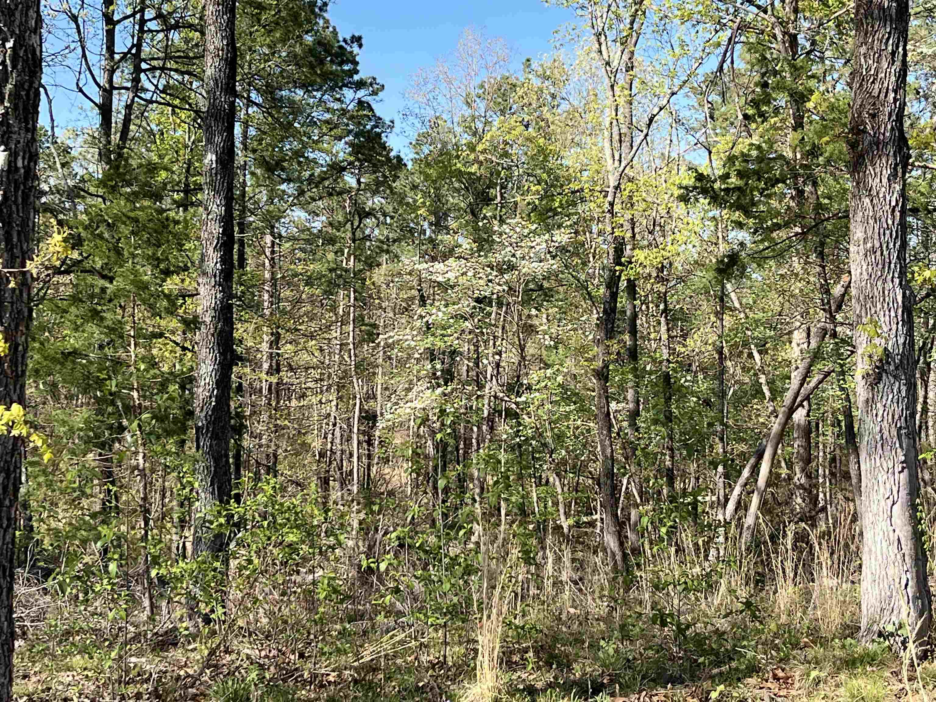 Photo 25 - Residential for sale – 549  Lena Lane   Oxford, AR