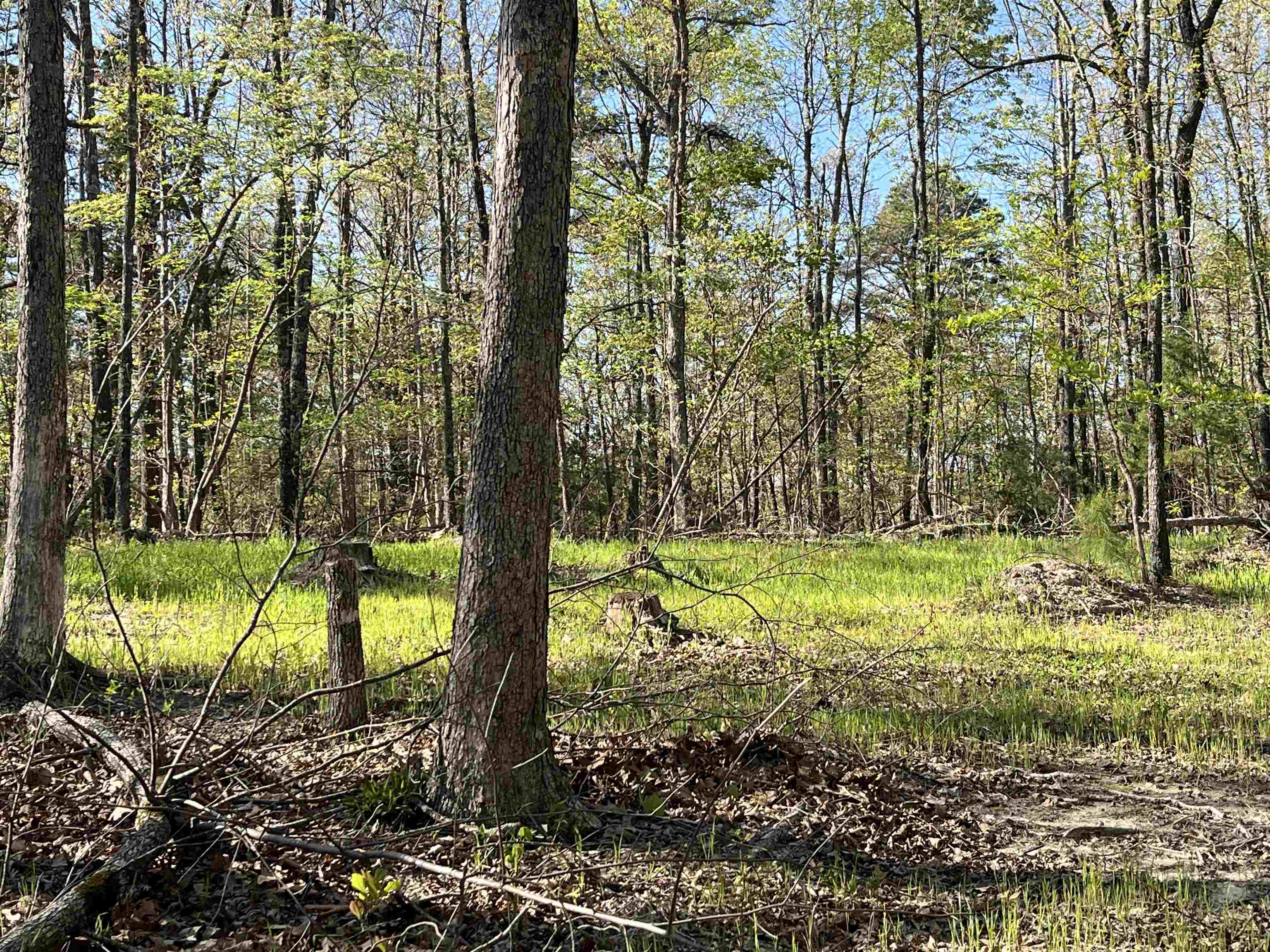 Photo 27 - Residential for sale – 549  Lena Lane   Oxford, AR