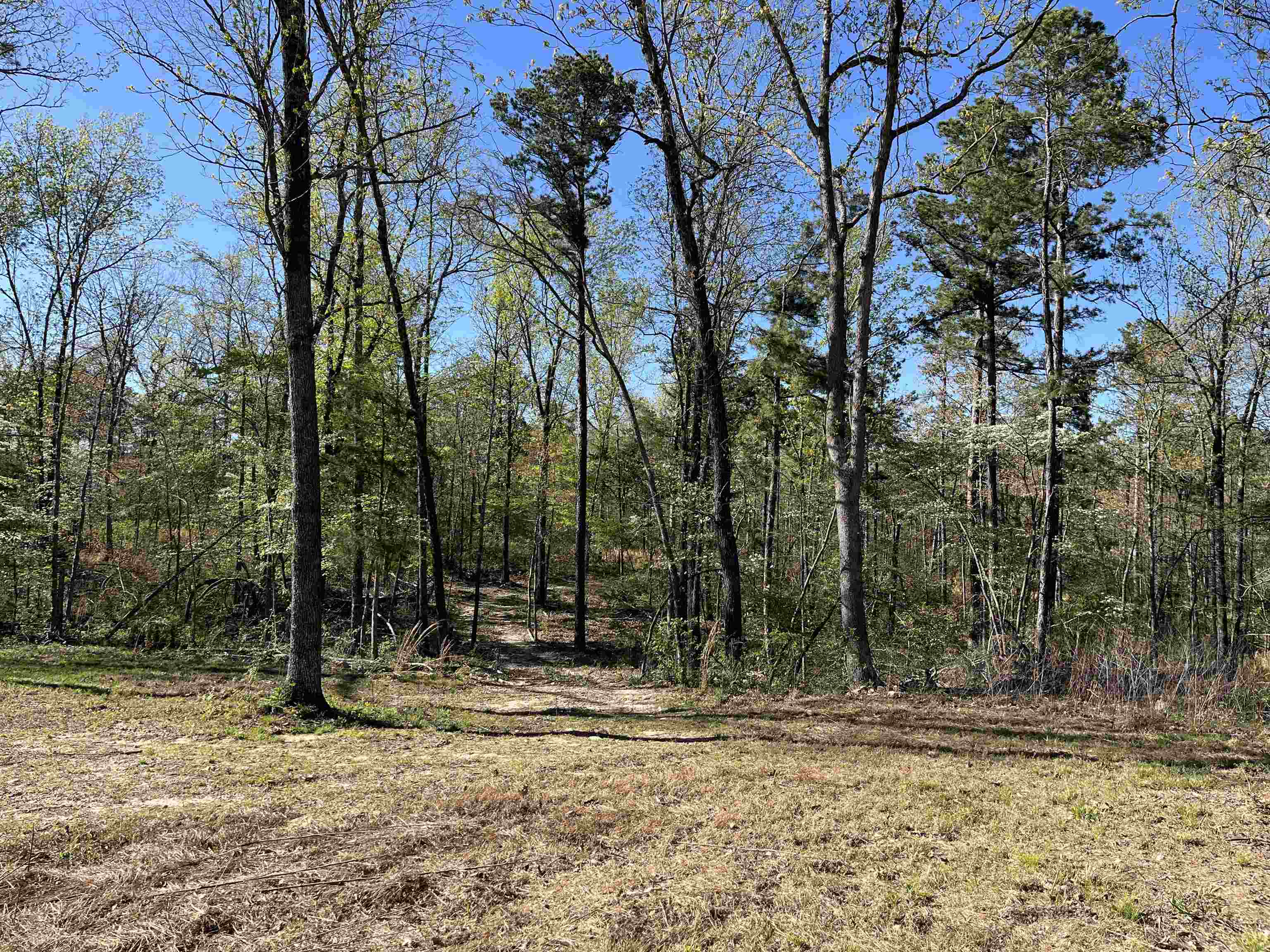 Photo 29 - Residential for sale – 549  Lena Lane   Oxford, AR