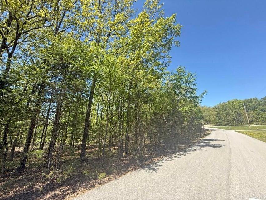 Photo 7 - Vacant Land for sale – 0  River Ridge   Rosie, AR