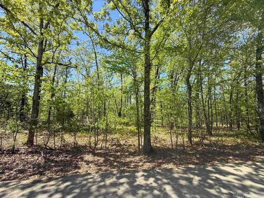 Photo 8 - Vacant Land for sale – 0  River Ridge   Rosie, AR