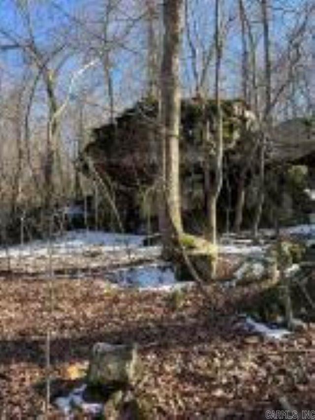 Photo 13 - Vacant Land for sale –   Whiskey Creek   Batesville, AR