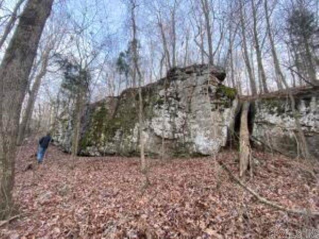 Photo 4 - Vacant Land for sale –   Whiskey Creek   Batesville, AR