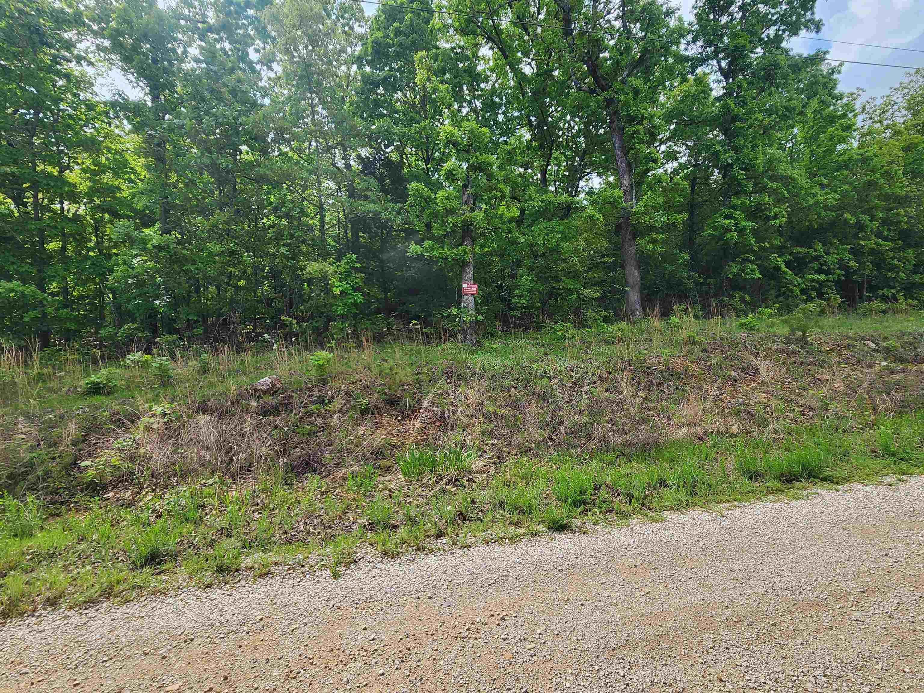 Photo 11 - Vacant Land for sale –   Waubansia   Cherokee Village, AR