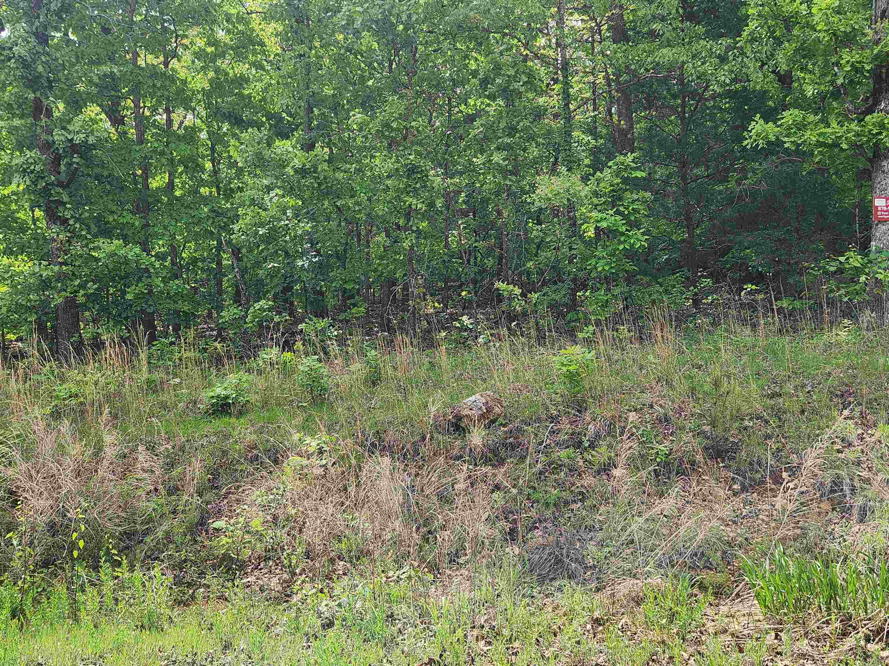 Photo 12 - Vacant Land for sale –   Waubansia   Cherokee Village, AR