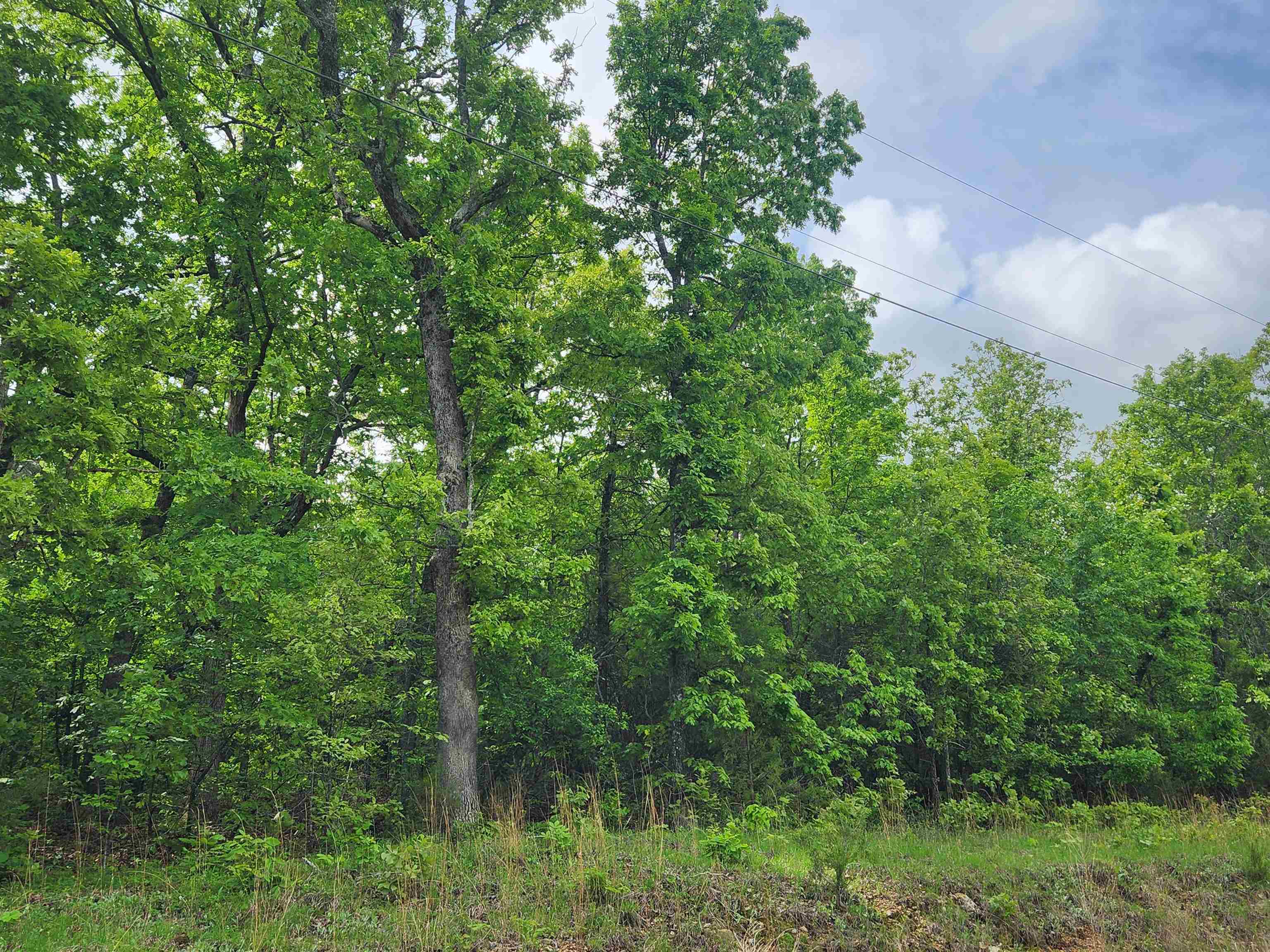 Photo 13 - Vacant Land for sale –   Waubansia   Cherokee Village, AR
