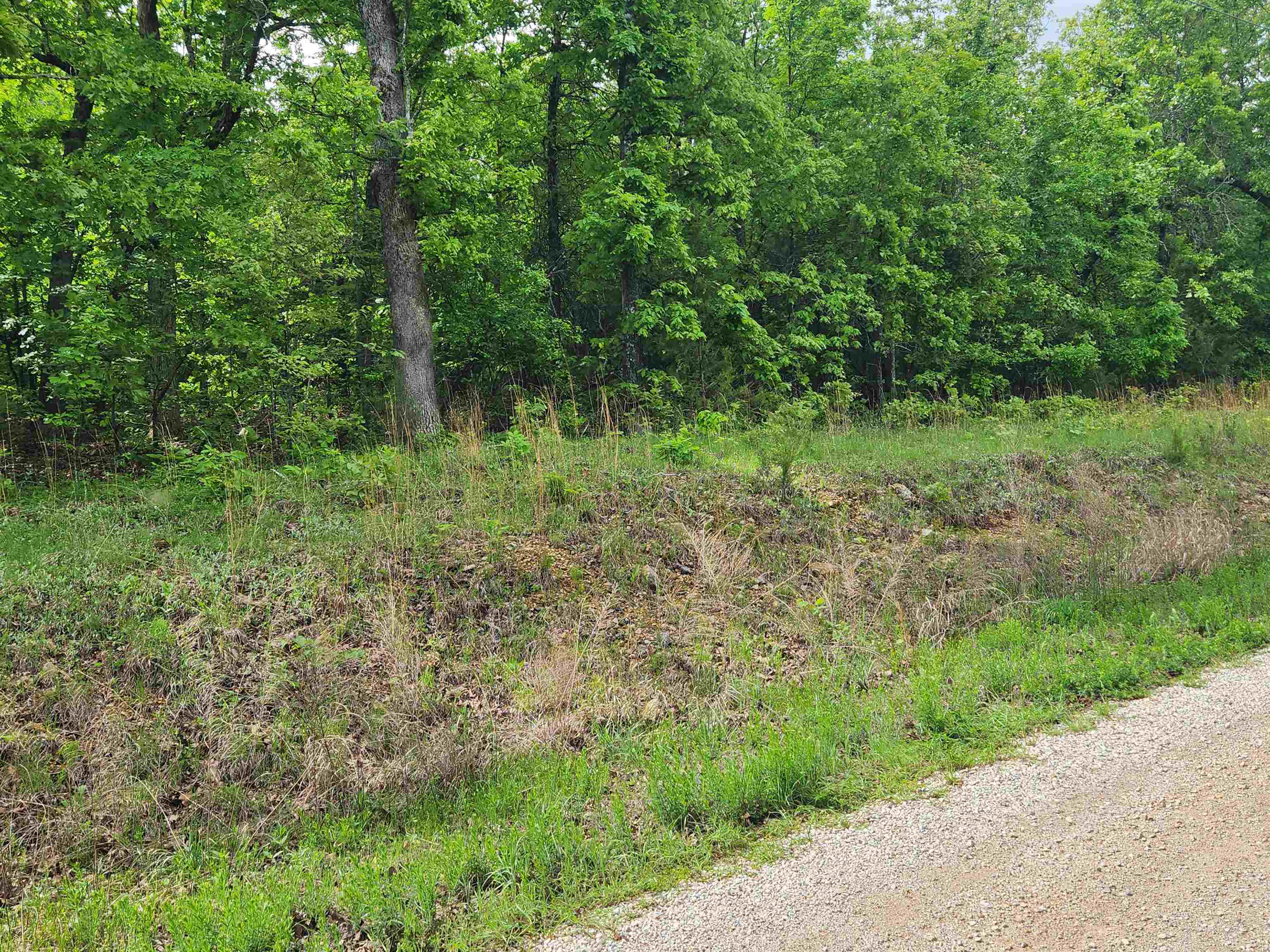 Photo 14 - Vacant Land for sale –   Waubansia   Cherokee Village, AR
