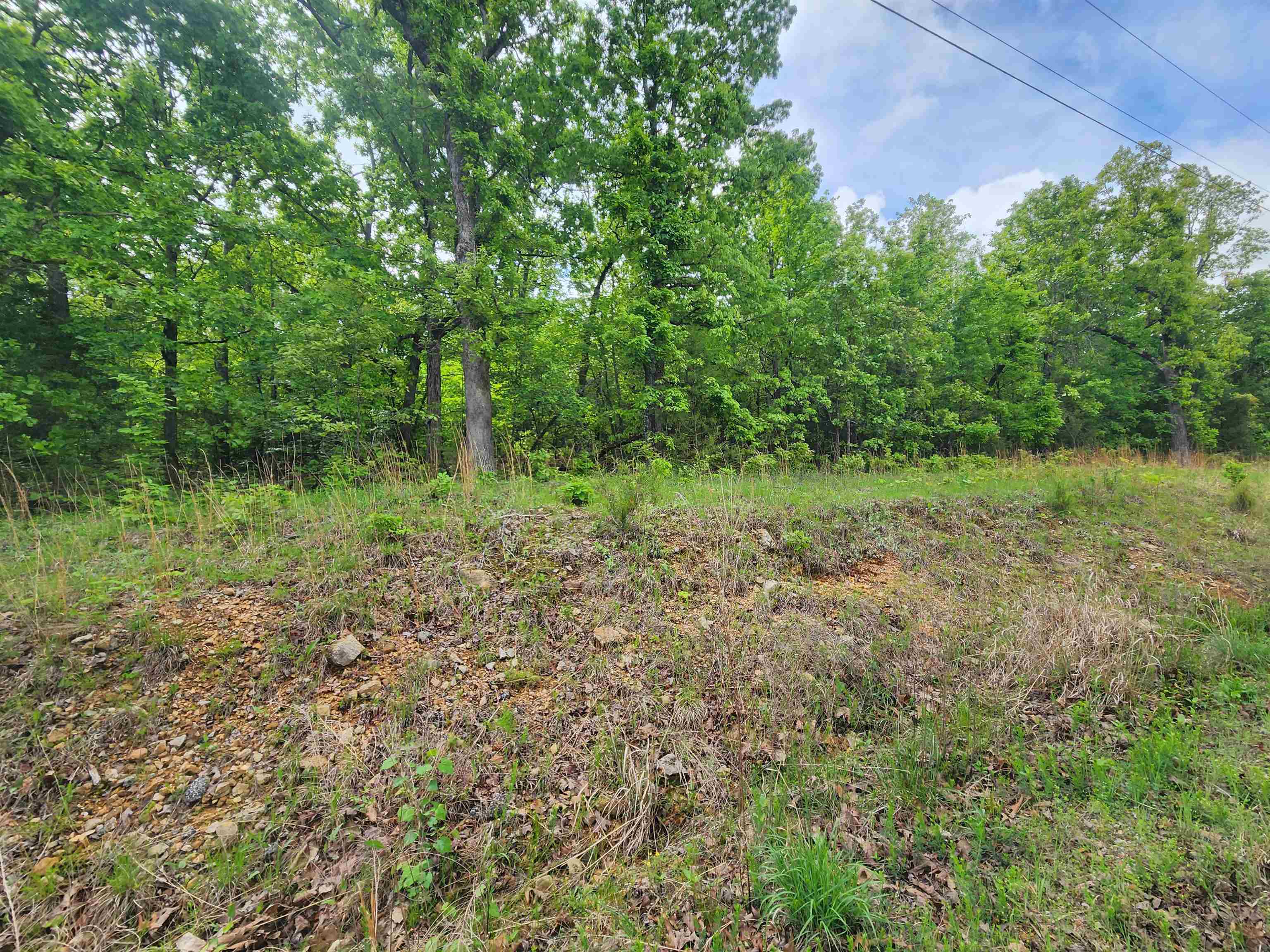 Photo 15 - Vacant Land for sale –   Waubansia   Cherokee Village, AR