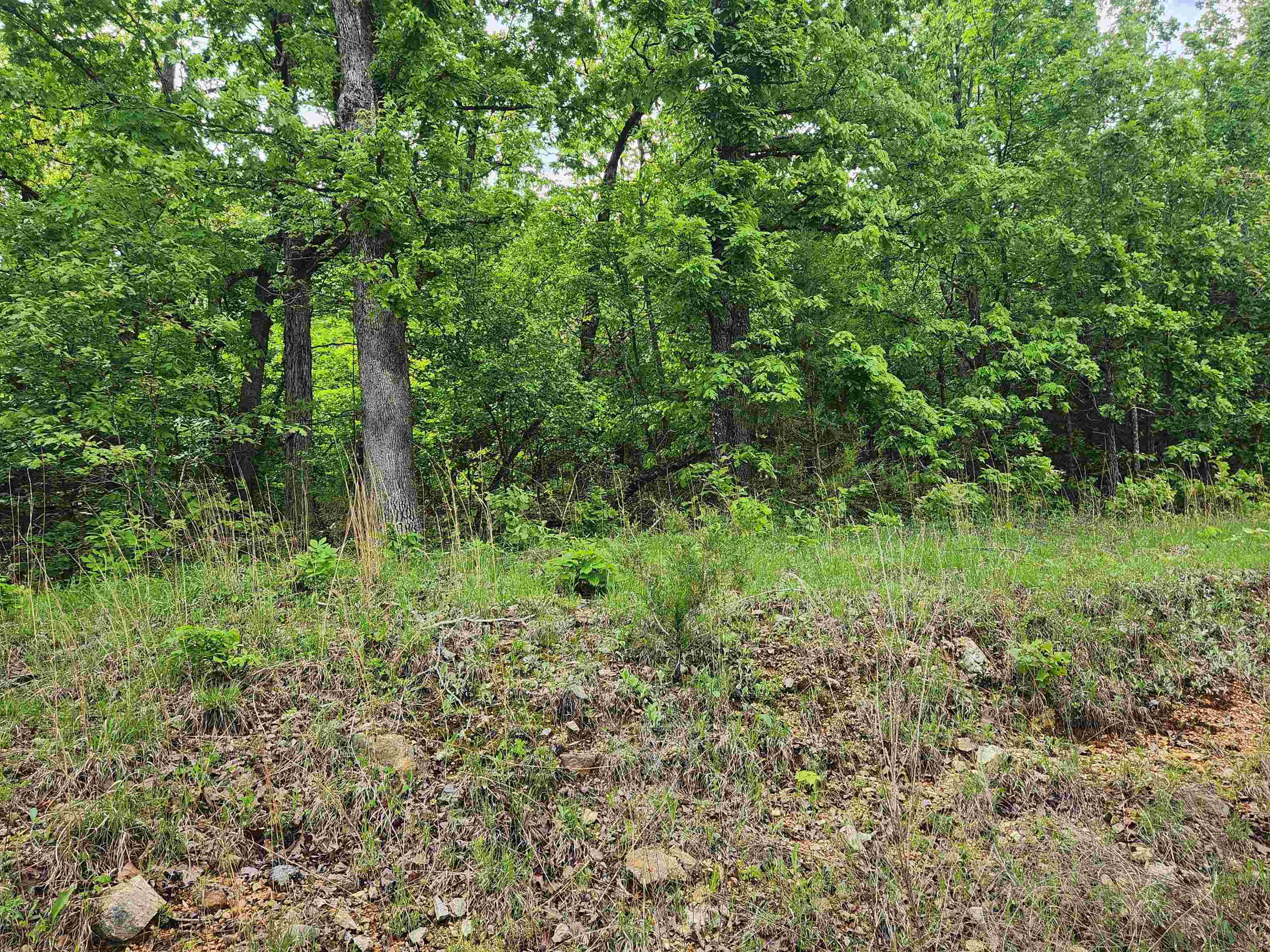 Photo 16 - Vacant Land for sale –   Waubansia   Cherokee Village, AR