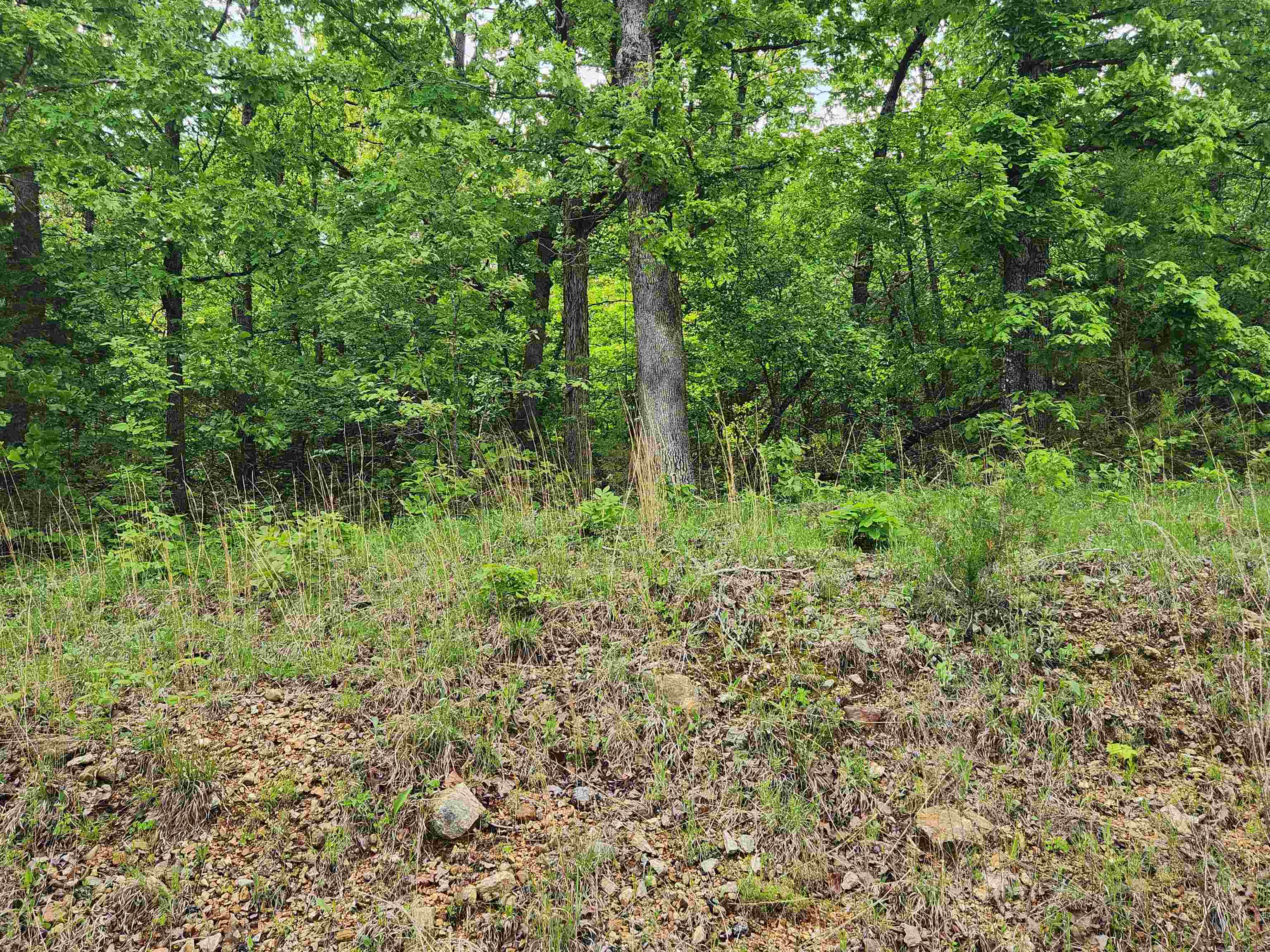 Photo 17 - Vacant Land for sale –   Waubansia   Cherokee Village, AR