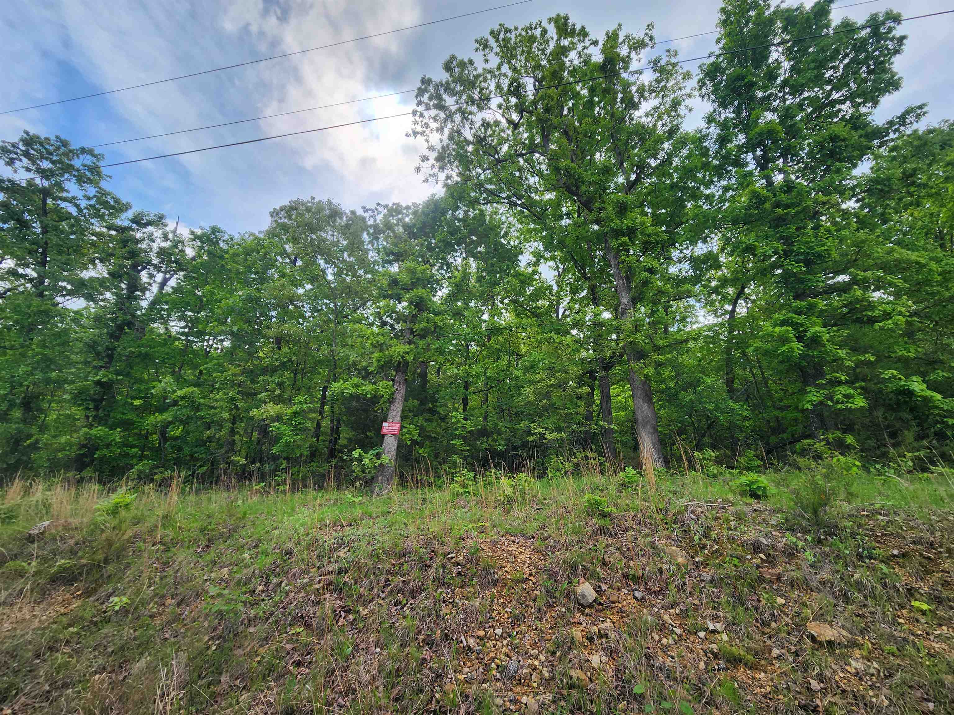 Photo 20 - Vacant Land for sale –   Waubansia   Cherokee Village, AR