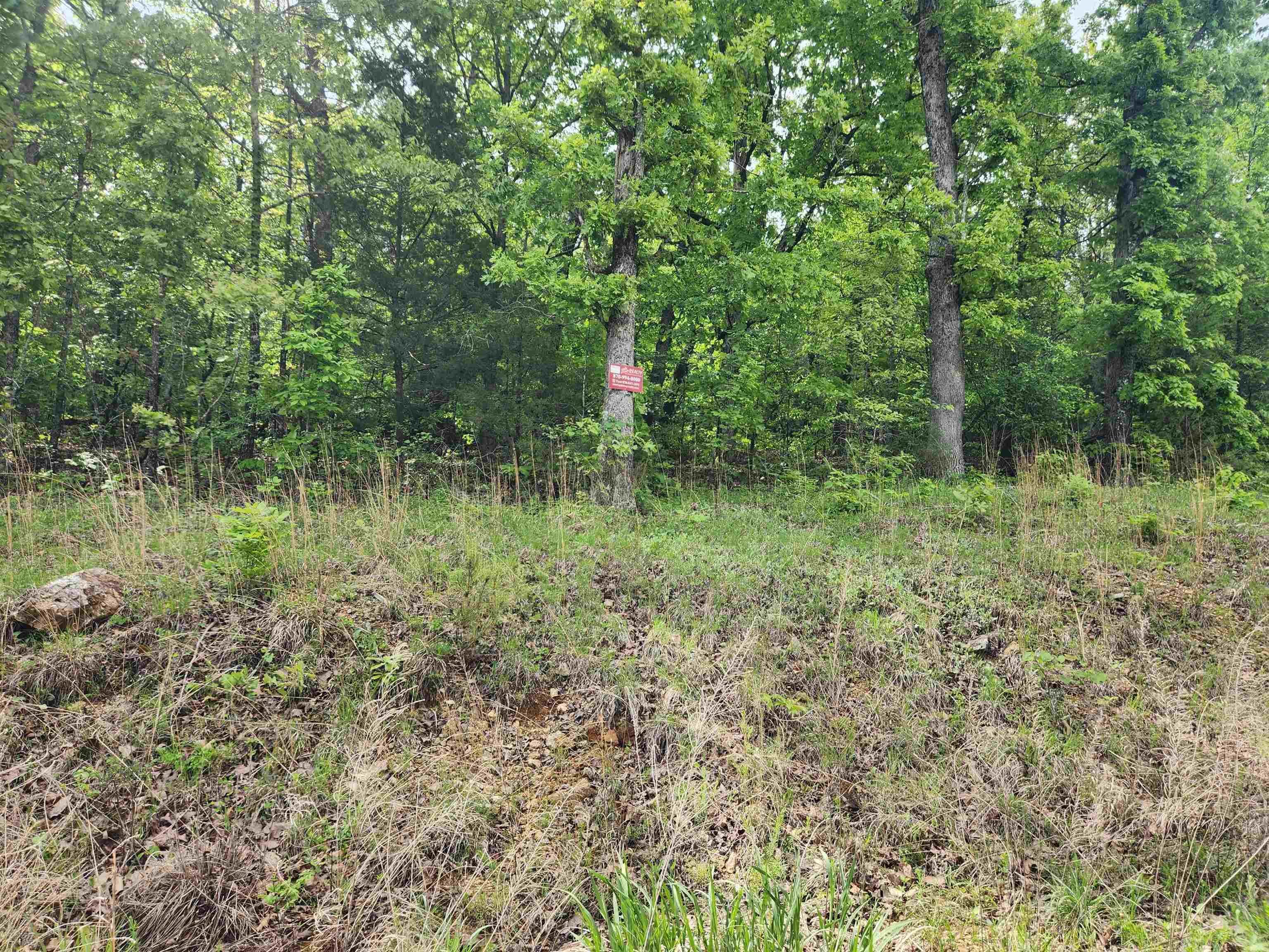 Photo 4 - Vacant Land for sale –   Waubansia   Cherokee Village, AR