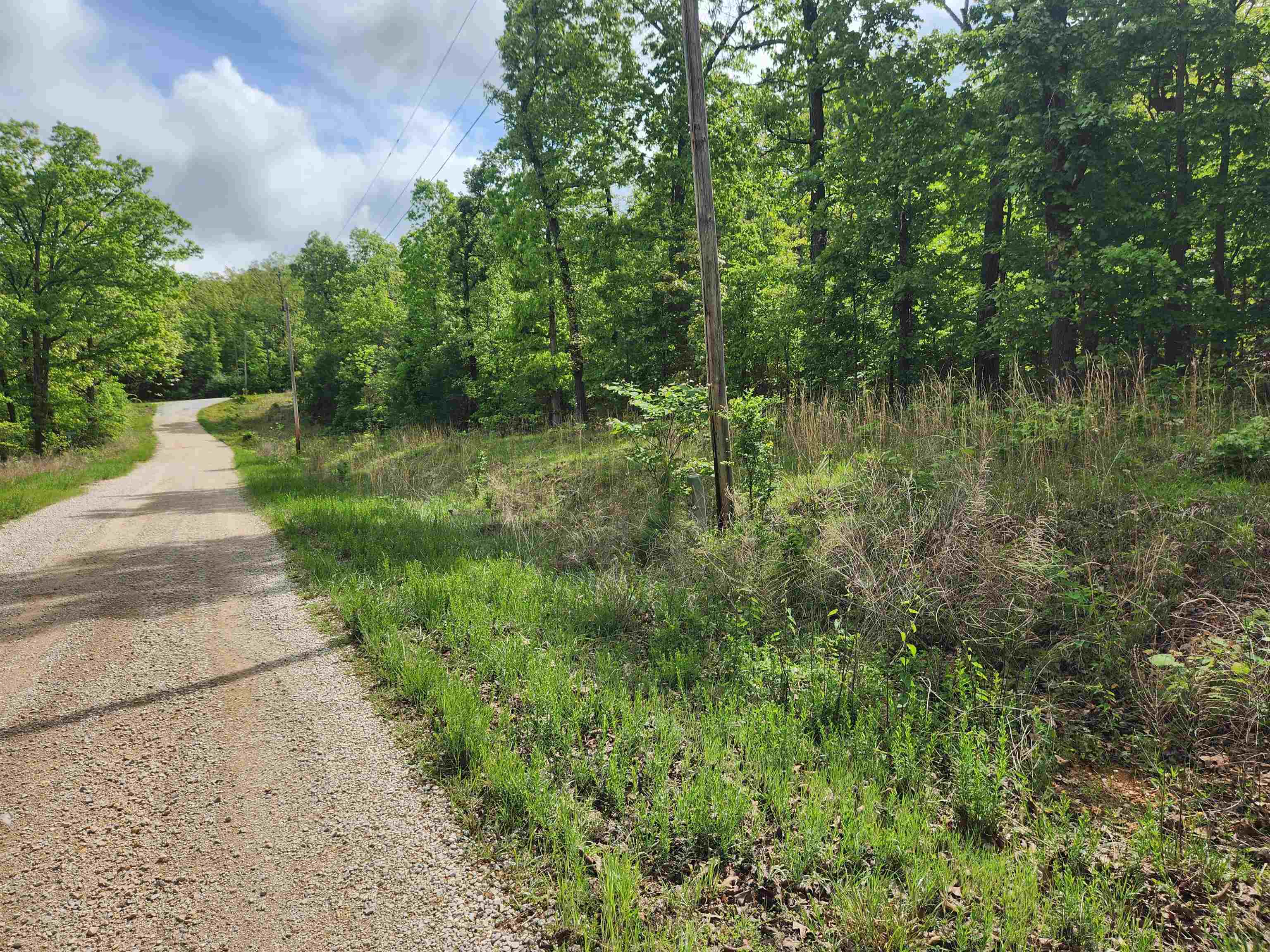 Photo 5 - Vacant Land for sale –   Waubansia   Cherokee Village, AR